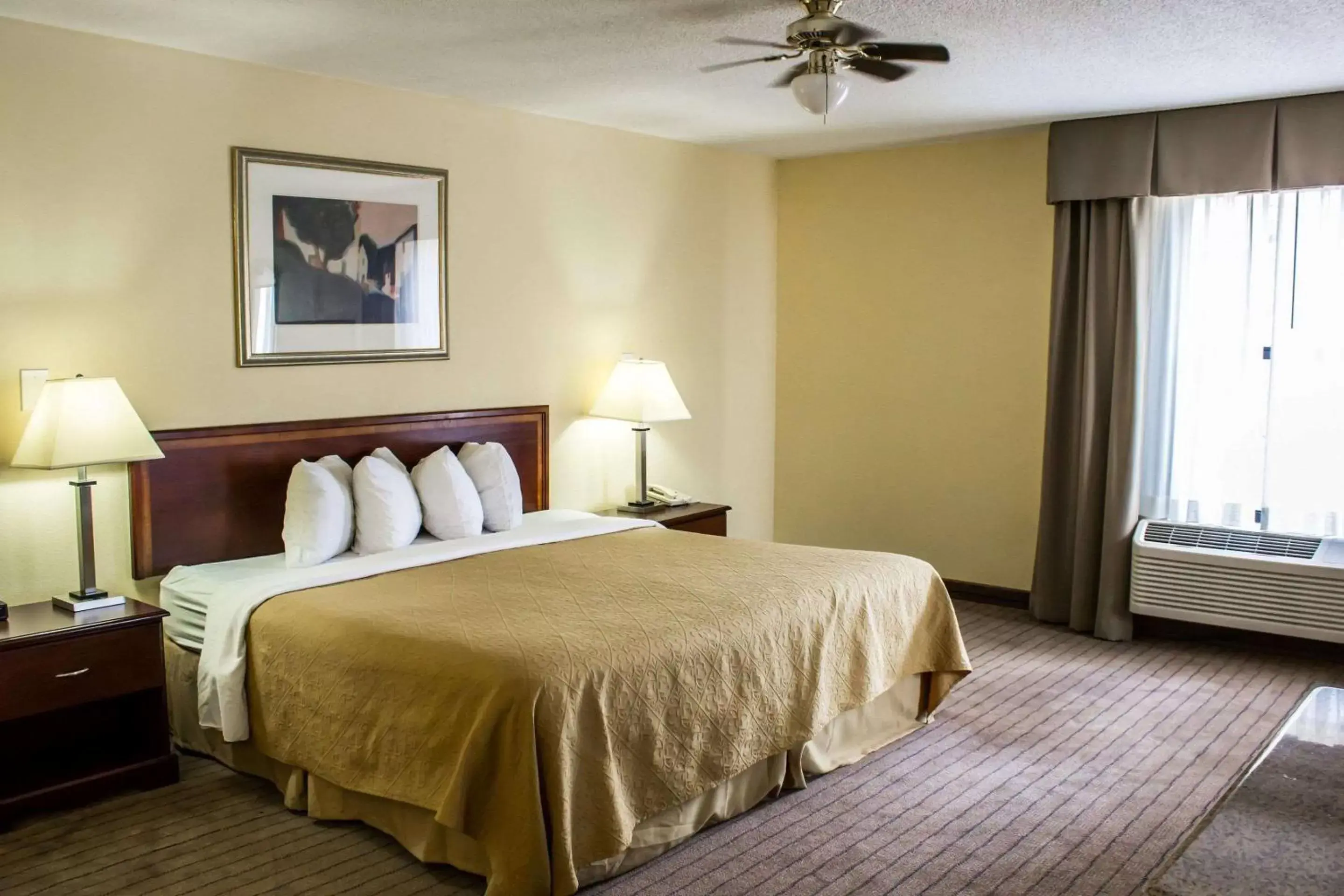 Photo of the whole room, Bed in Quality Inn Fuquay Varina East