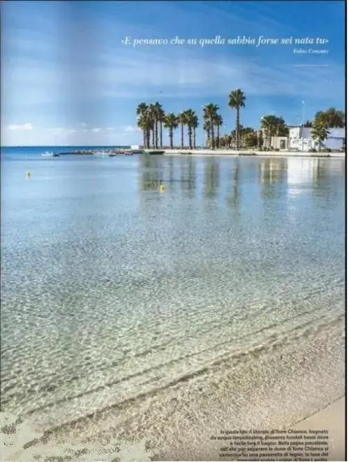 Beach in Hotel Riva Del Sole