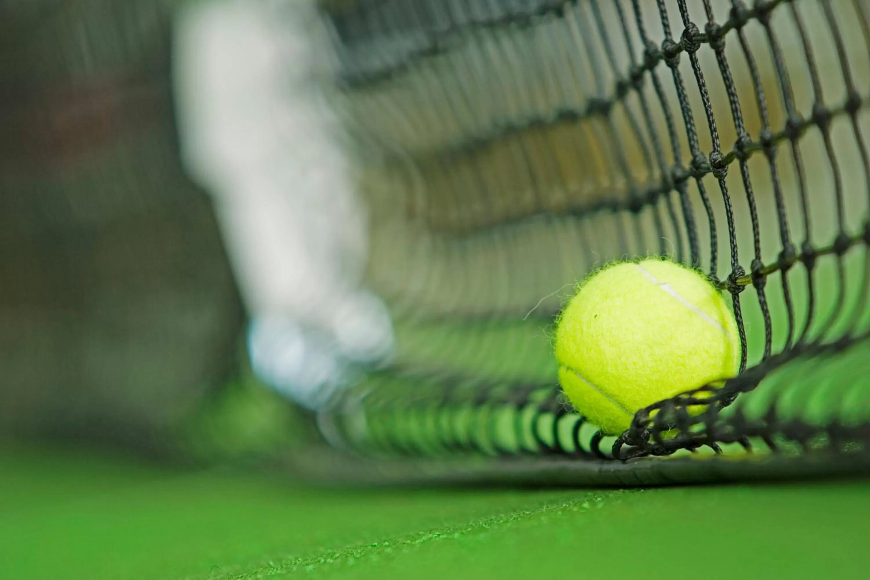 Activities in Parkhotel Rothof