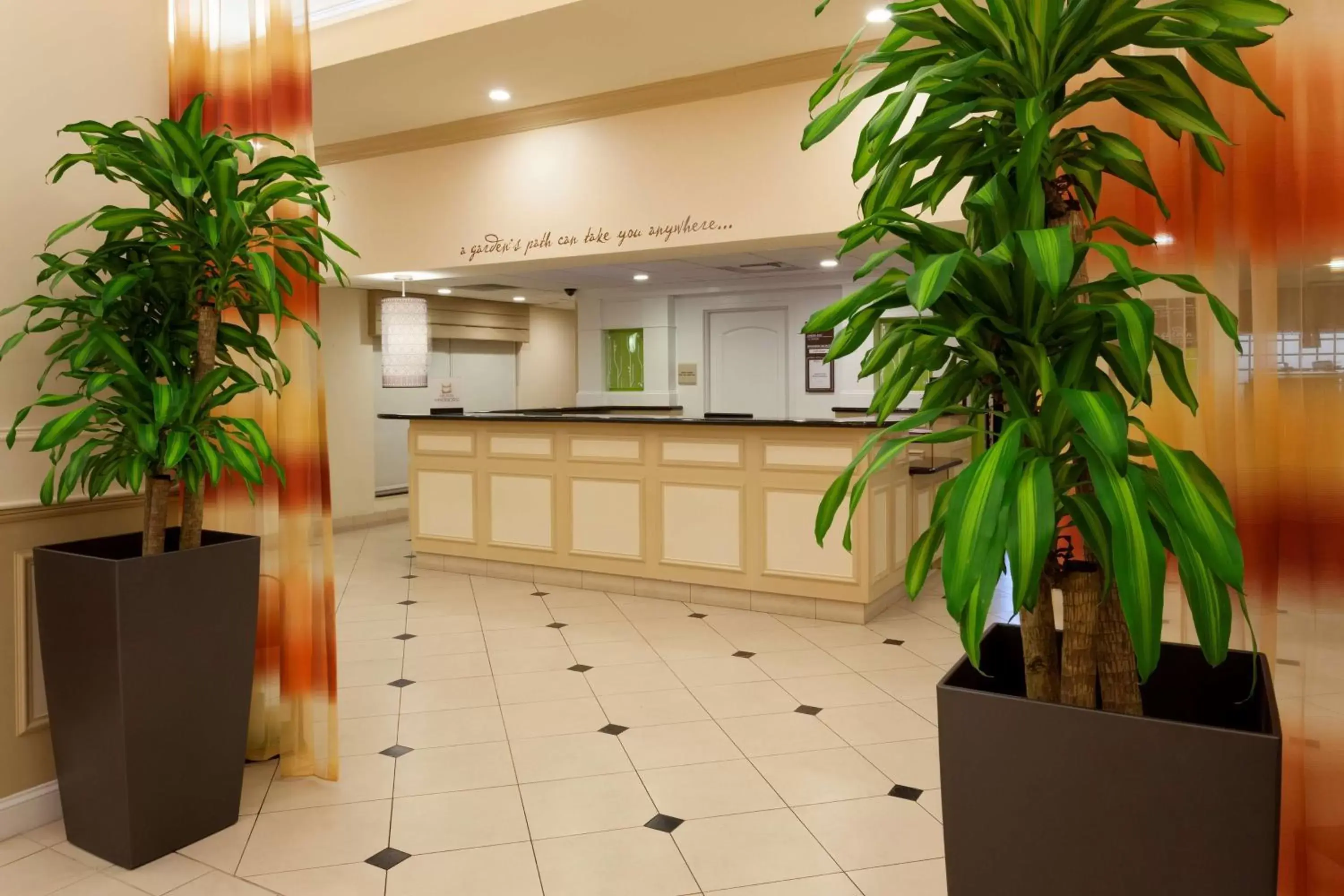 Lobby or reception, Lobby/Reception in Hilton Garden Inn Gainesville