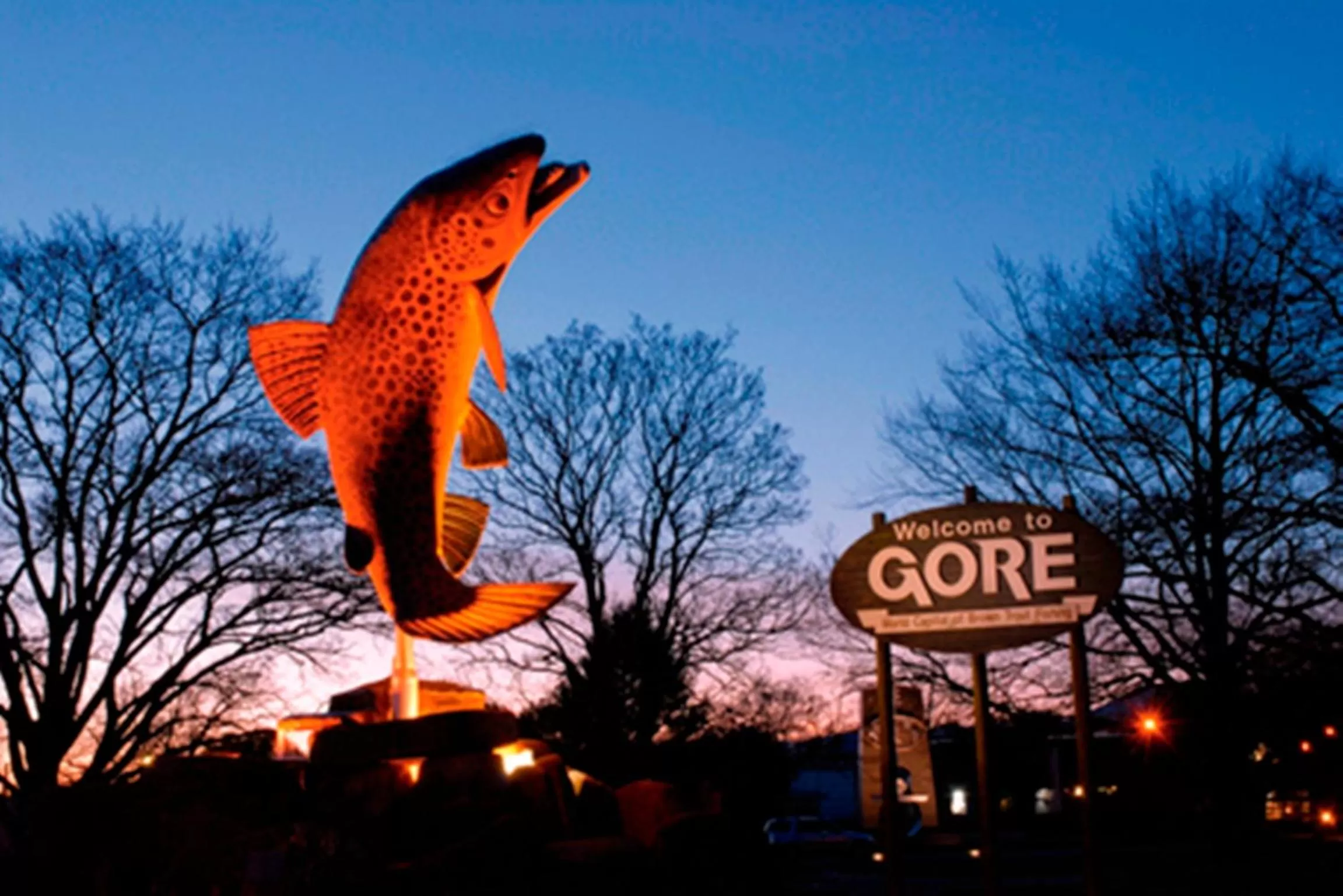 Fishing in Hokonui Bed & Breakfast