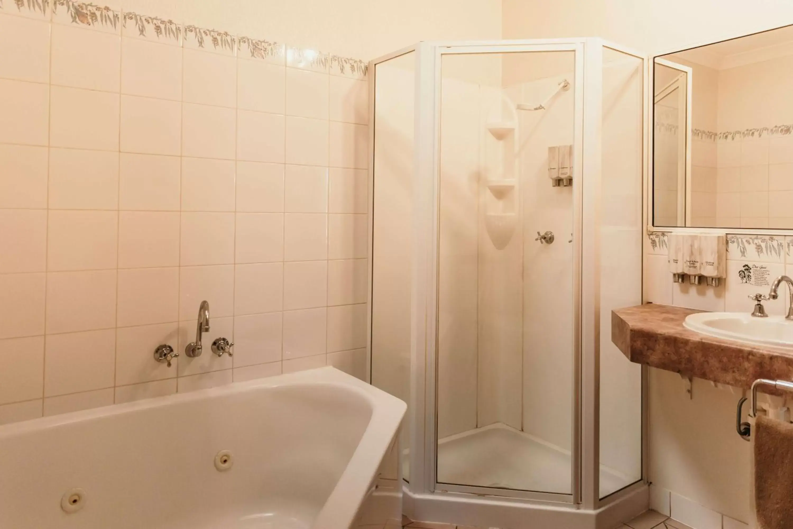 Shower, Bathroom in Outback Motel Mt Isa