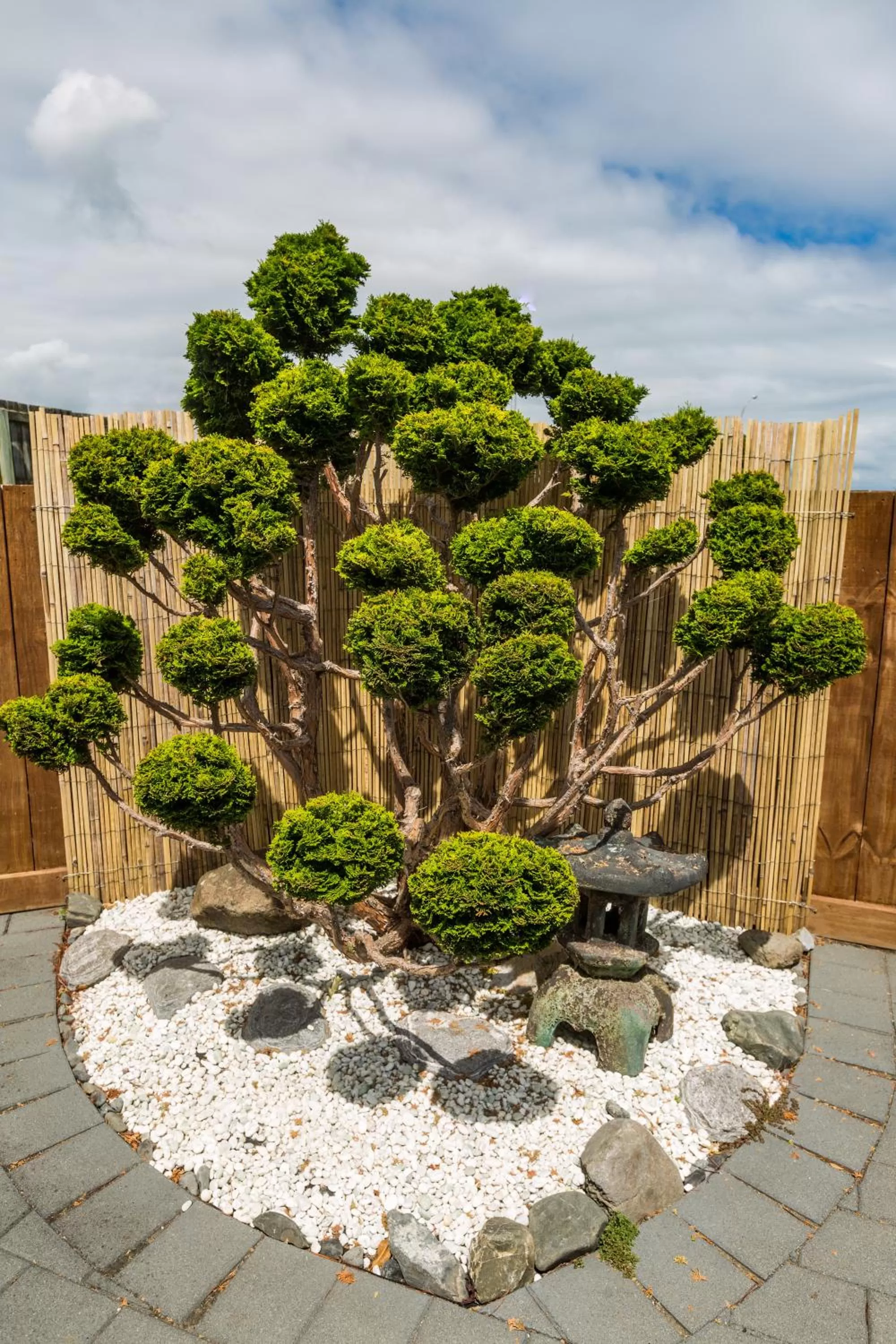 Garden view in Le Chalet Suisse Motel Taupo