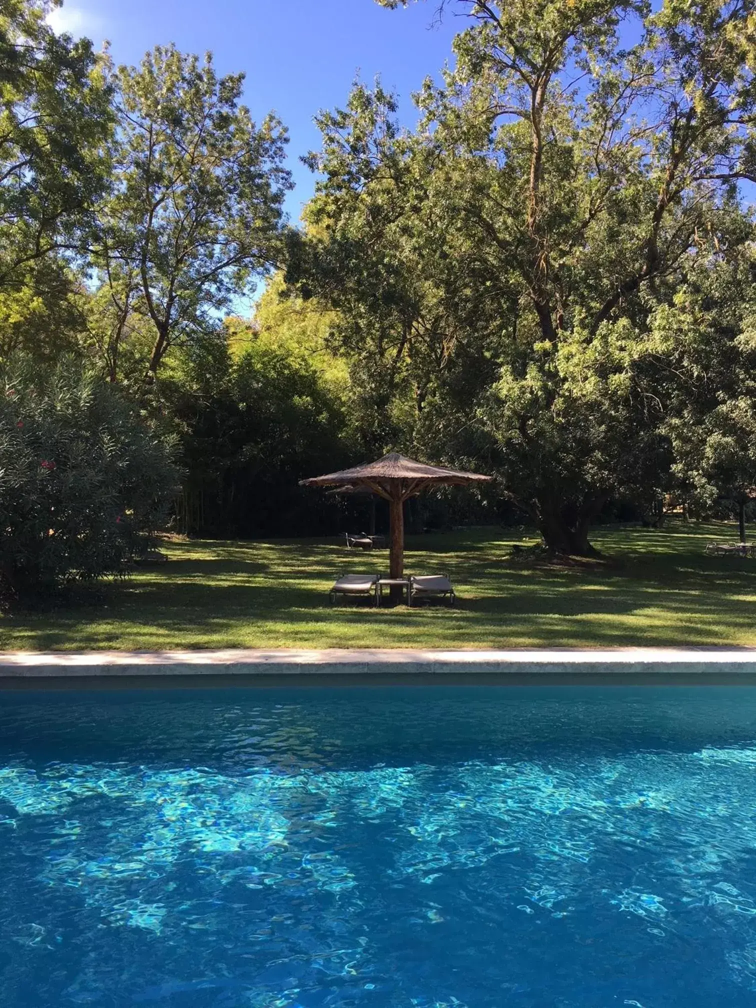 Swimming Pool in Hotel Château Des Alpilles