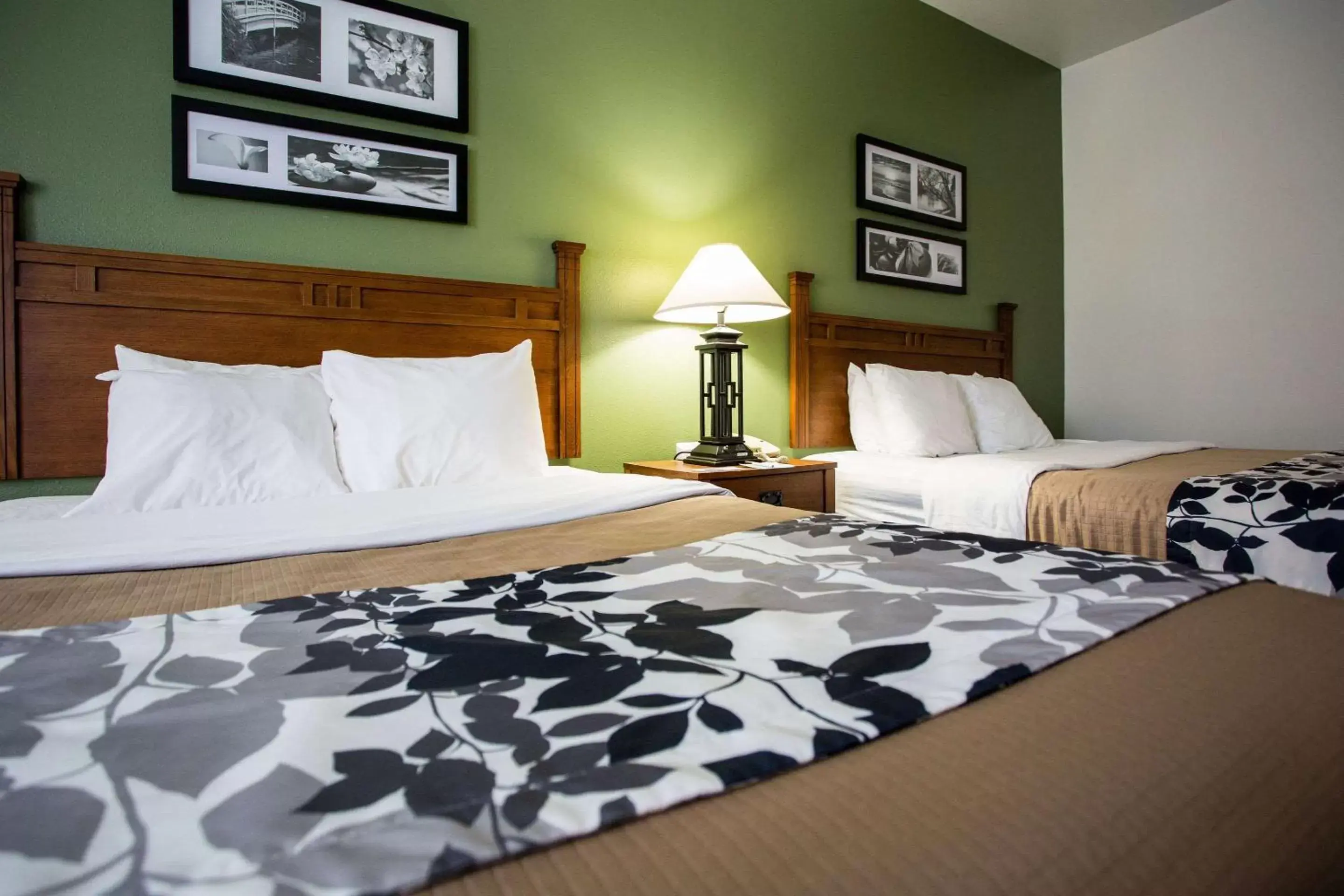 Photo of the whole room, Bed in Sleep Inn & Suites Conference Center Eau Claire