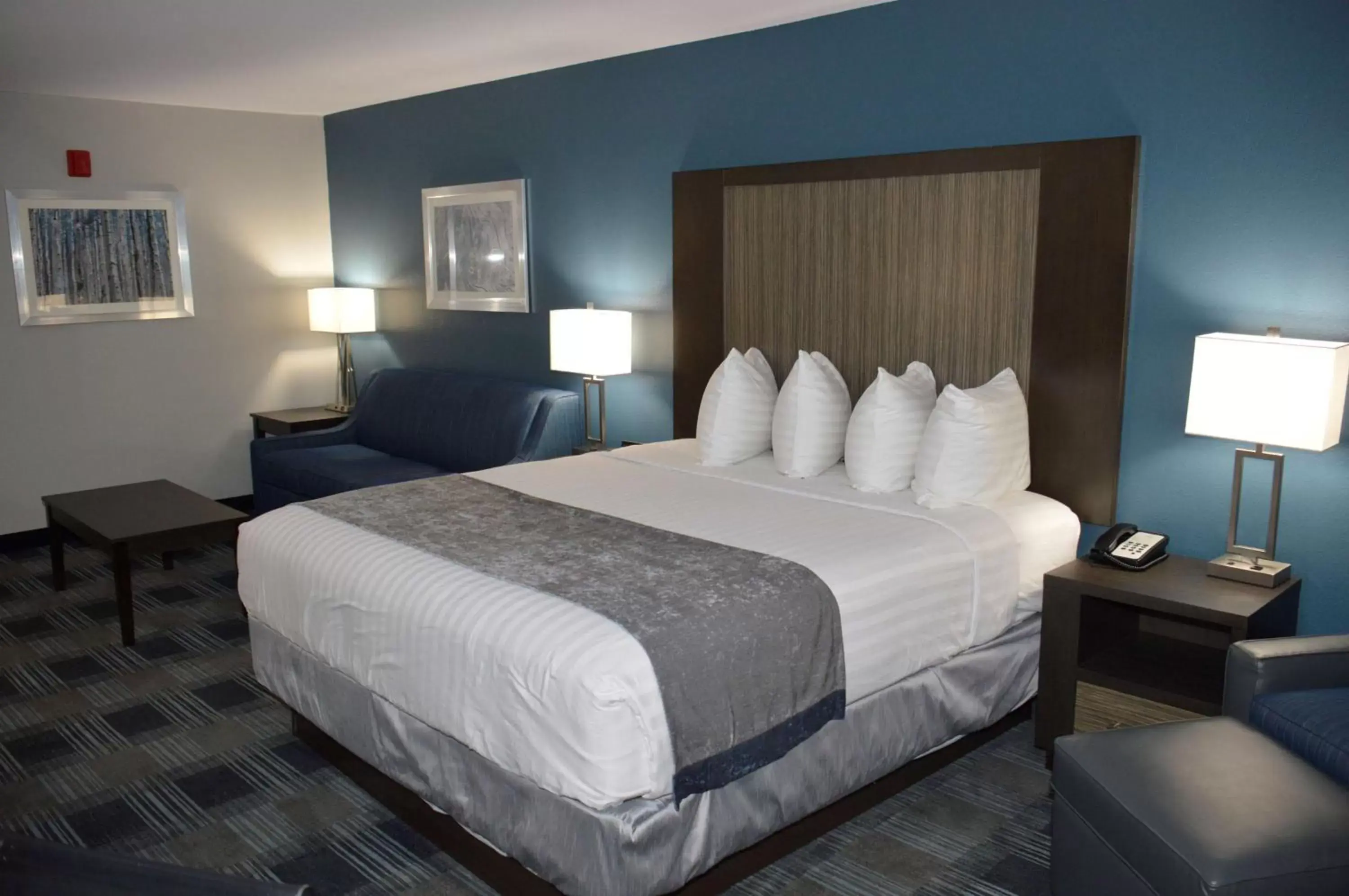 Photo of the whole room, Bed in Best Western Town Center Inn