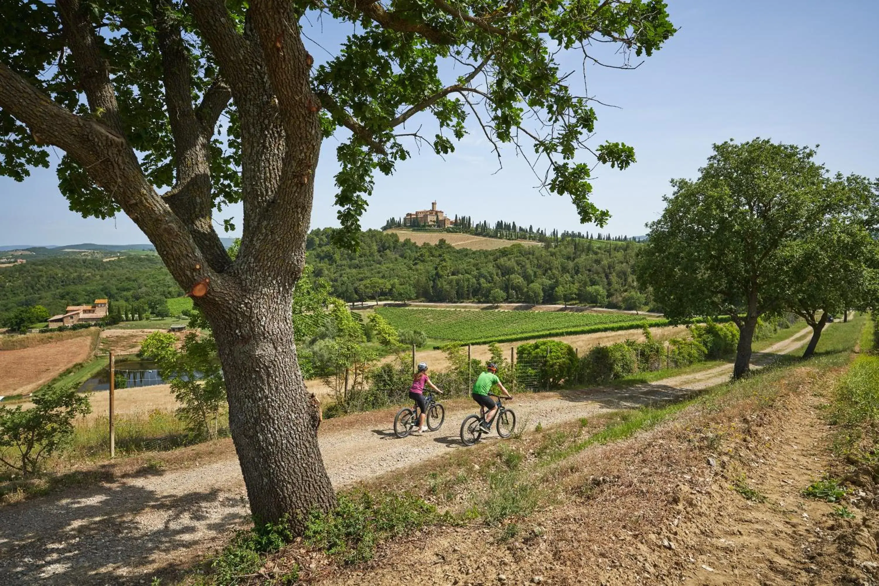Cycling in Castello Banfi - Il Borgo