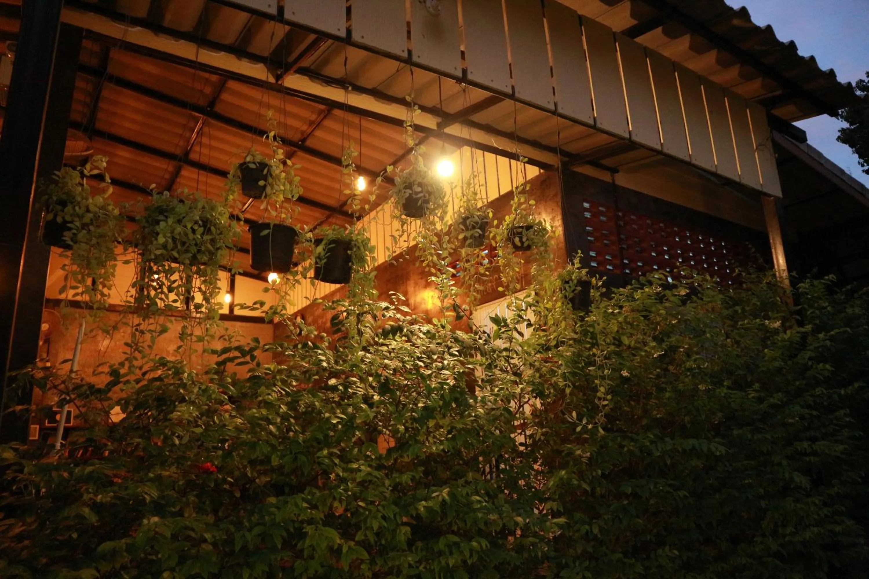 Garden in Raven Blue