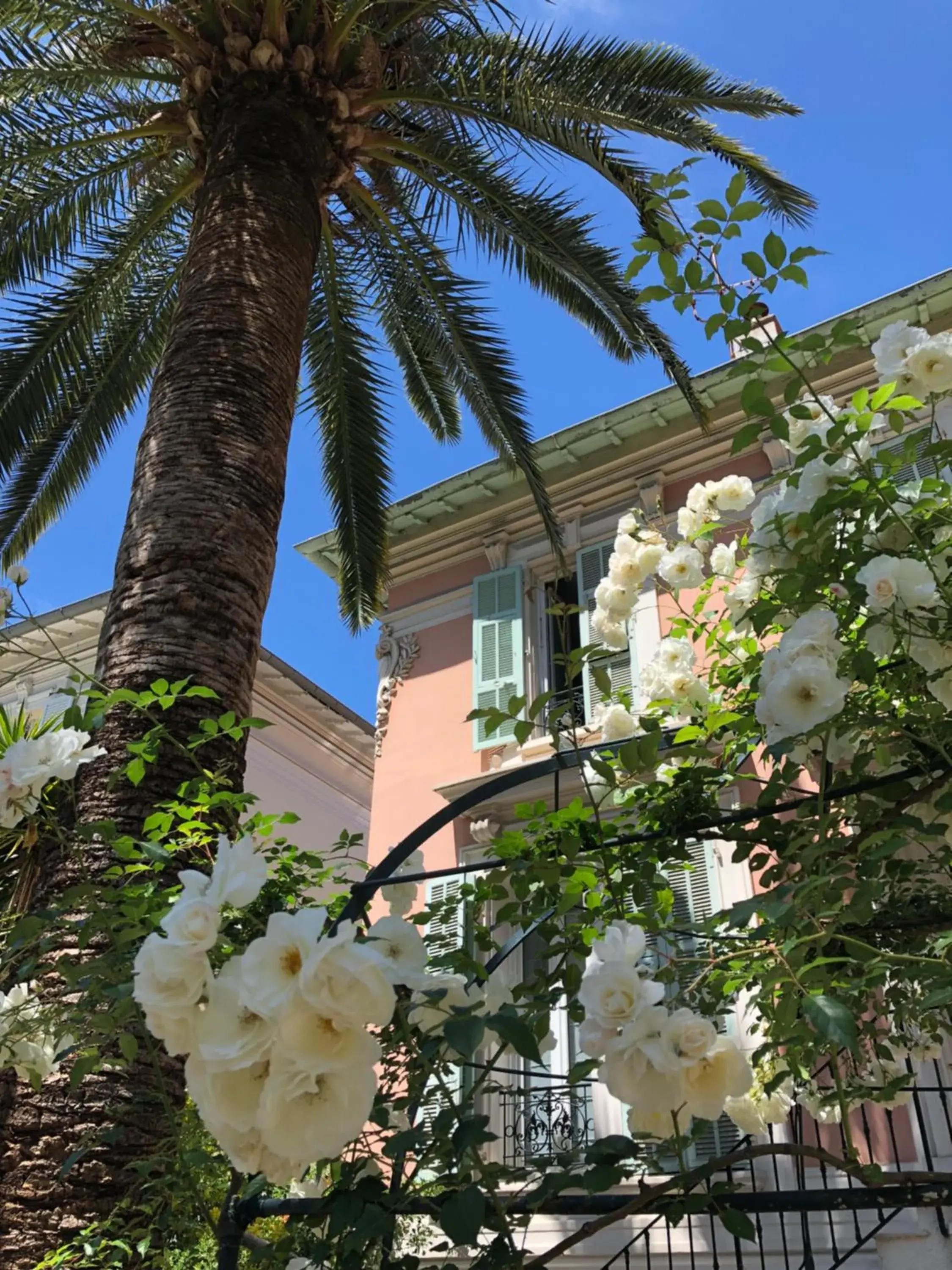 Property building in Hotel Villa Rose Property building in Hotel Villa Rose