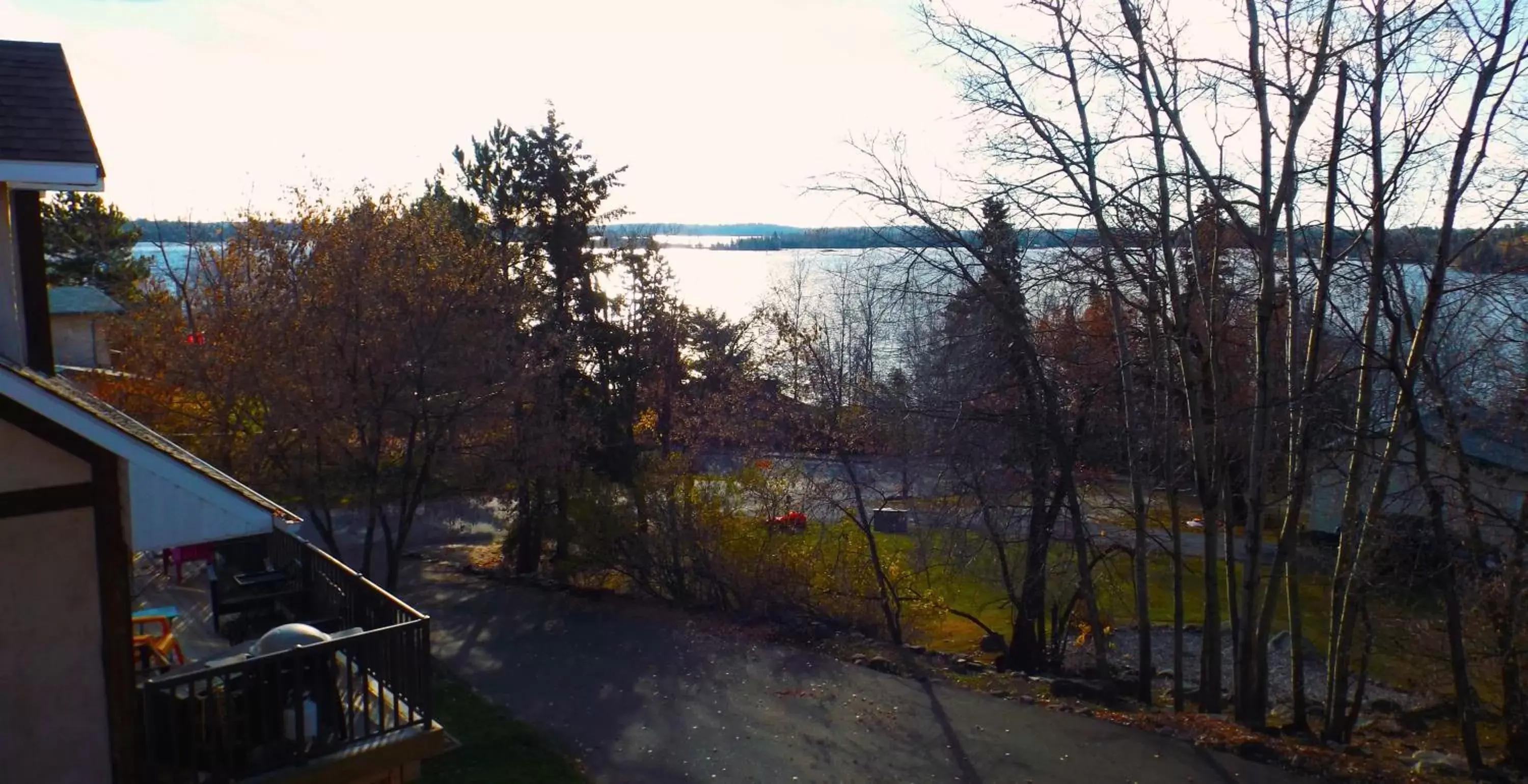 View (from property/room) in Timberland Inn