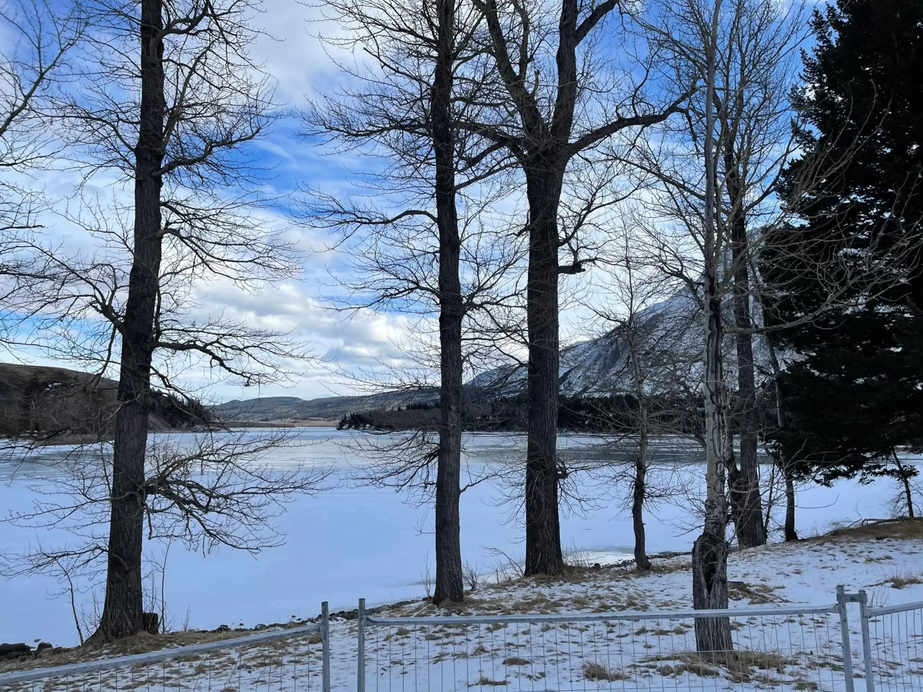 Natural landscape, Winter in Kilmorey Lodge
