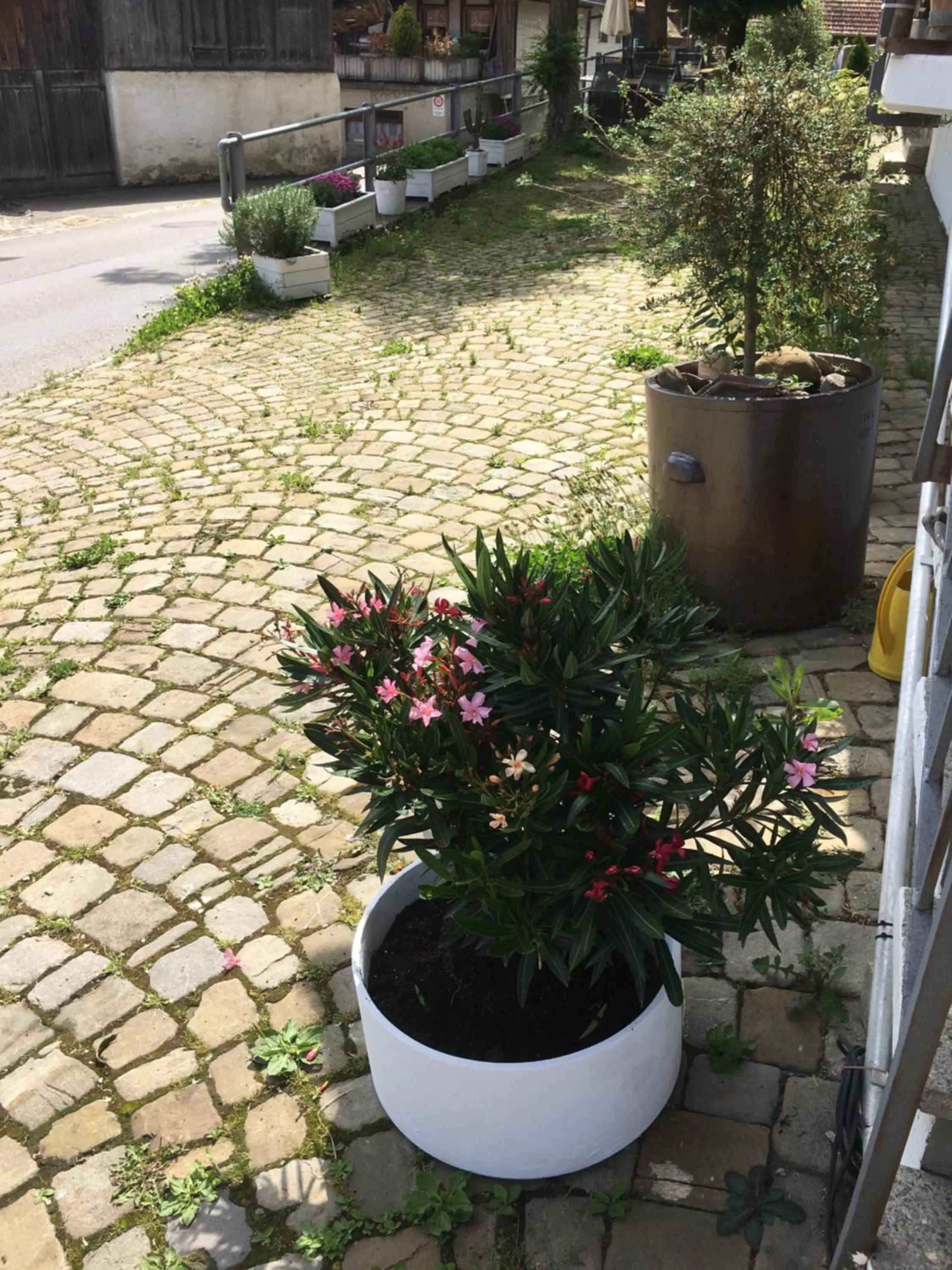 Property building in B&B Bären