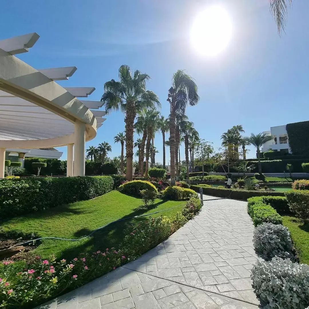 Garden in Monte Carlo Sharm Resort & Spa