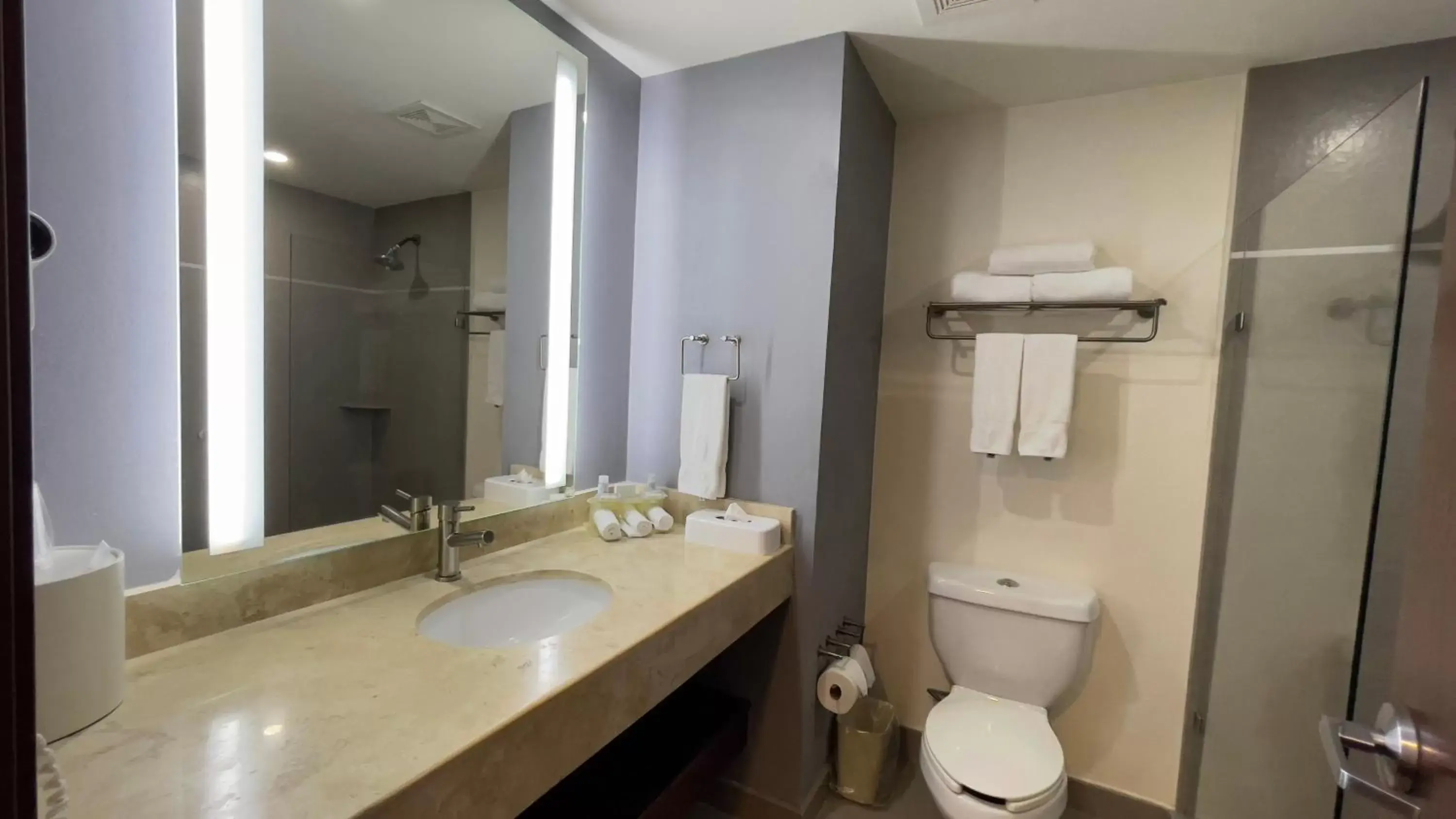 Bathroom in Holiday Inn Express Culiacan, an IHG Hotel