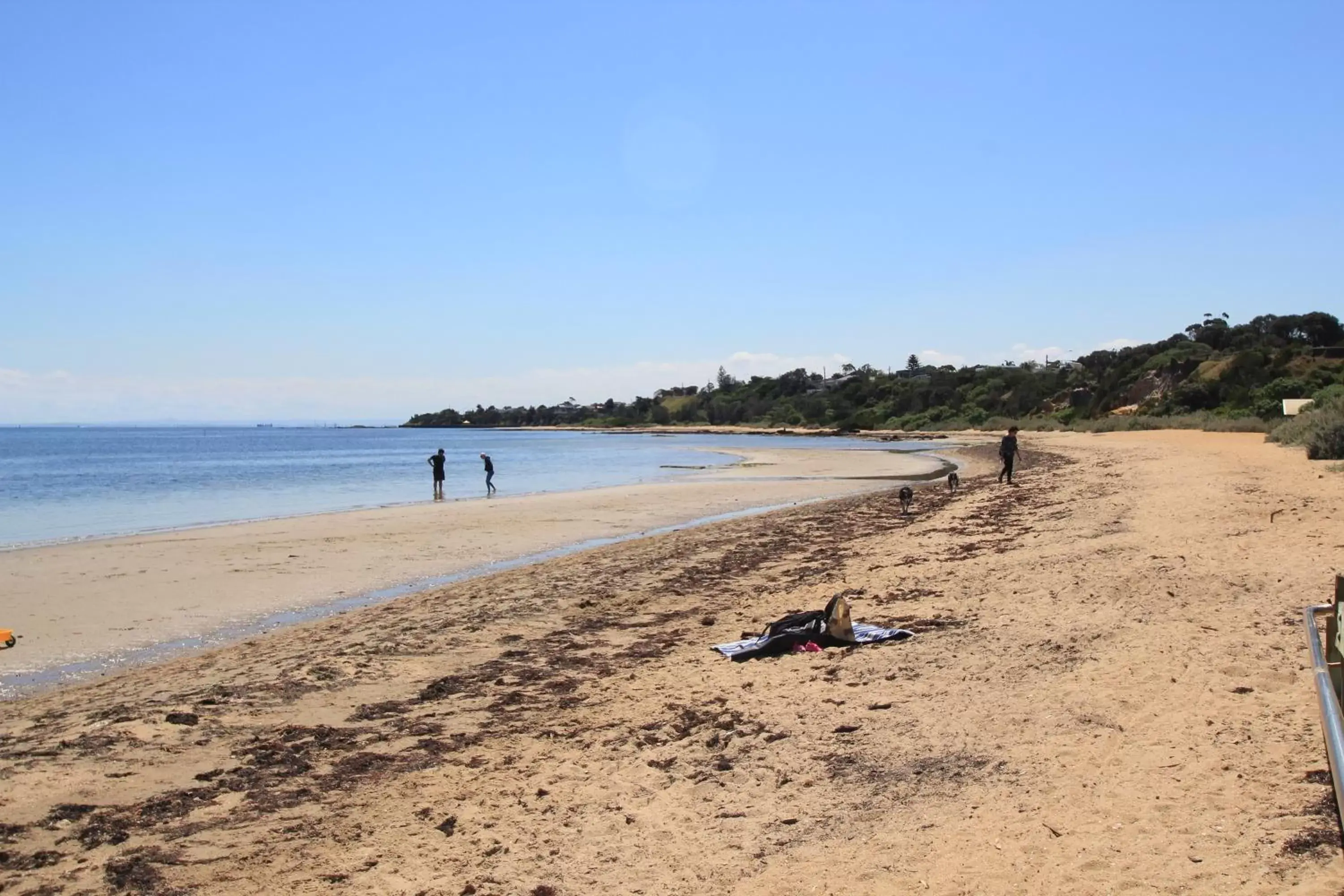 Beach in Beaumaris Bay Motel