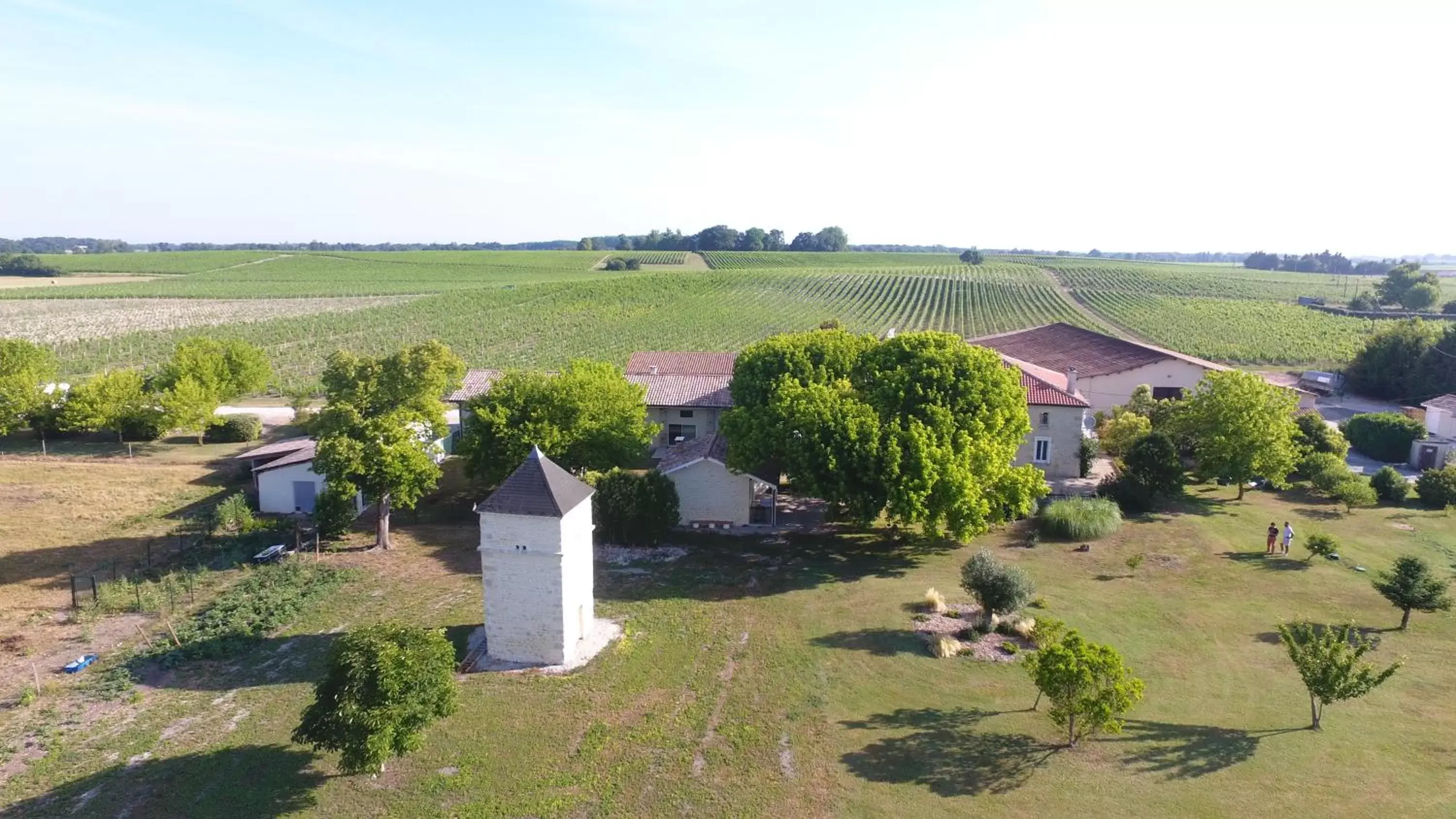 Garden view in Chambres d'Hôtes Château Pierre de Montignac