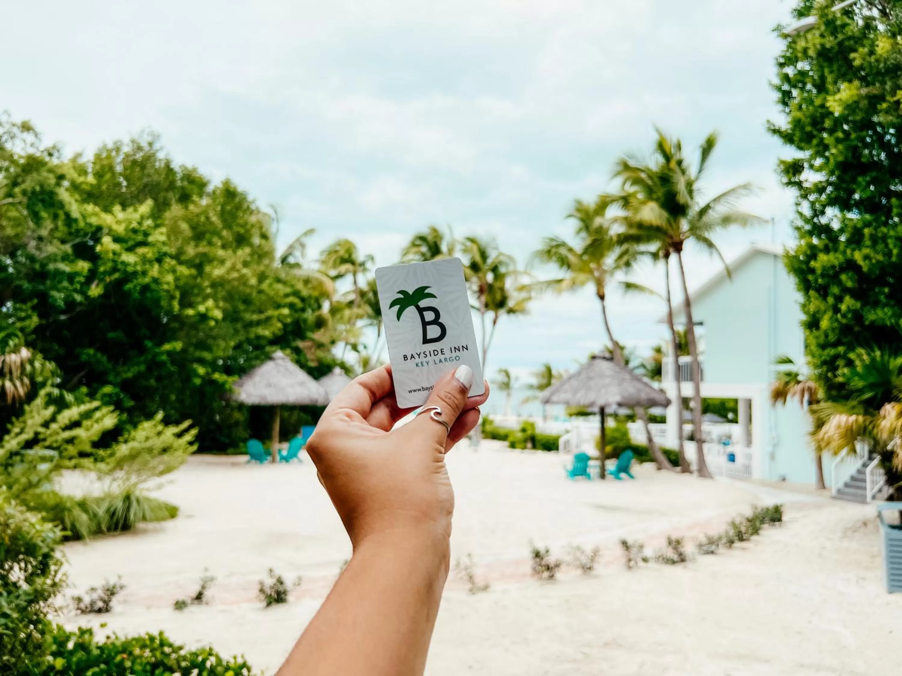 Natural landscape in Bayside Inn Key Largo