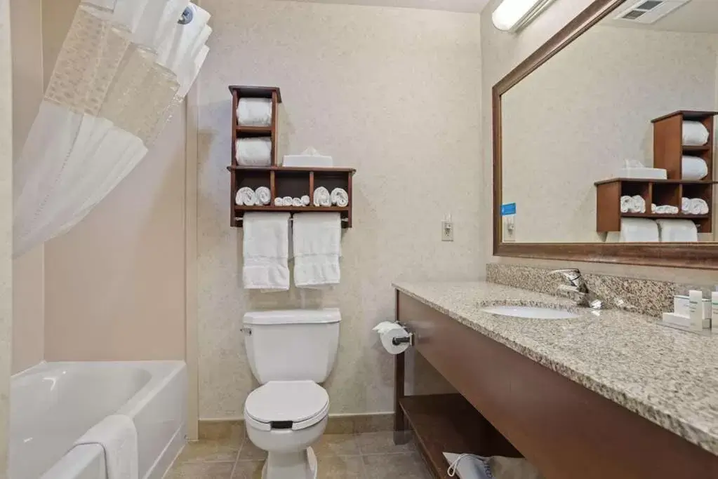 Shower, Bathroom in Comfort Inn & Suites Rapid City near Mt Rushmore