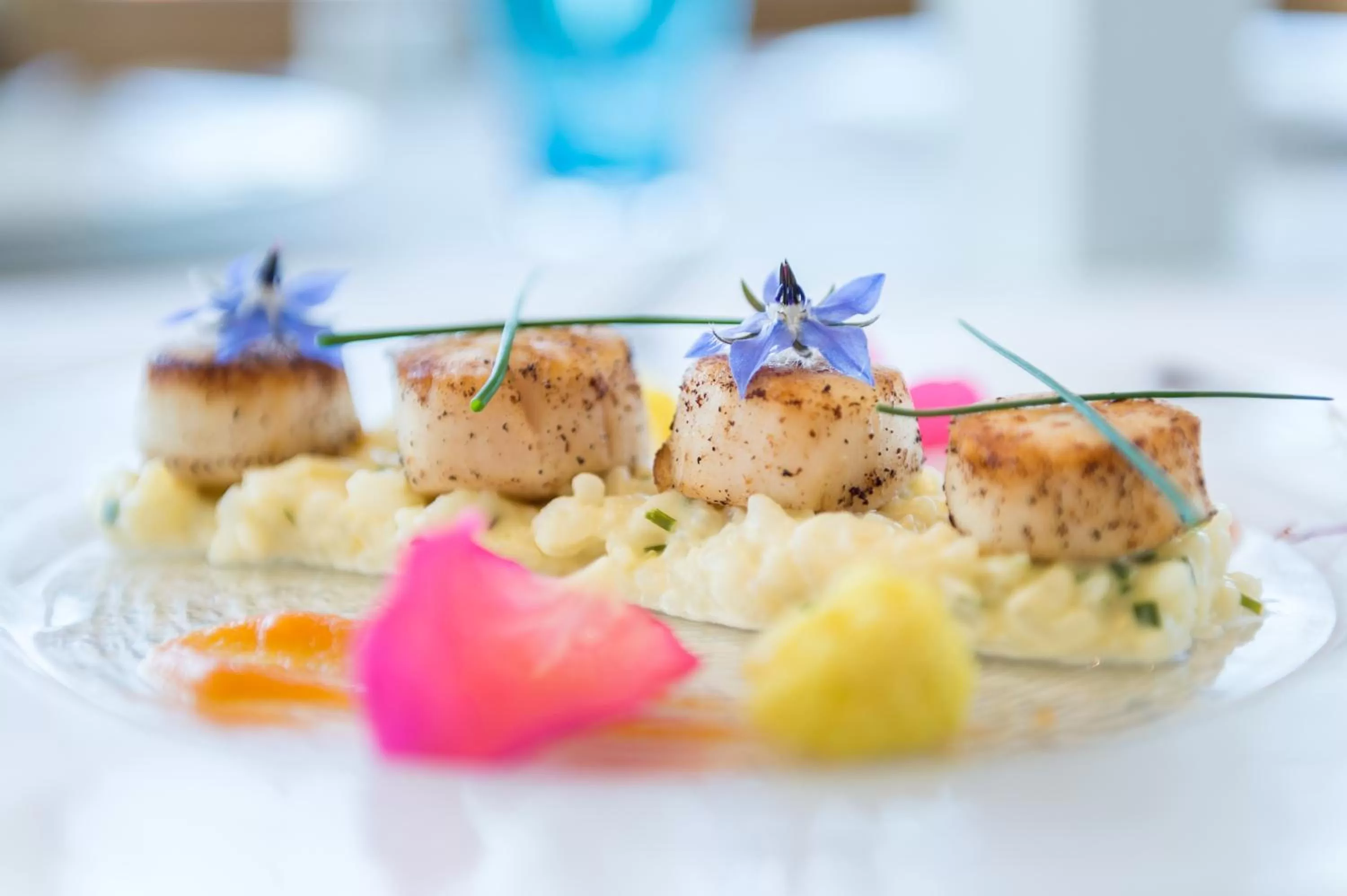 Restaurant/places to eat in Breiz Armor