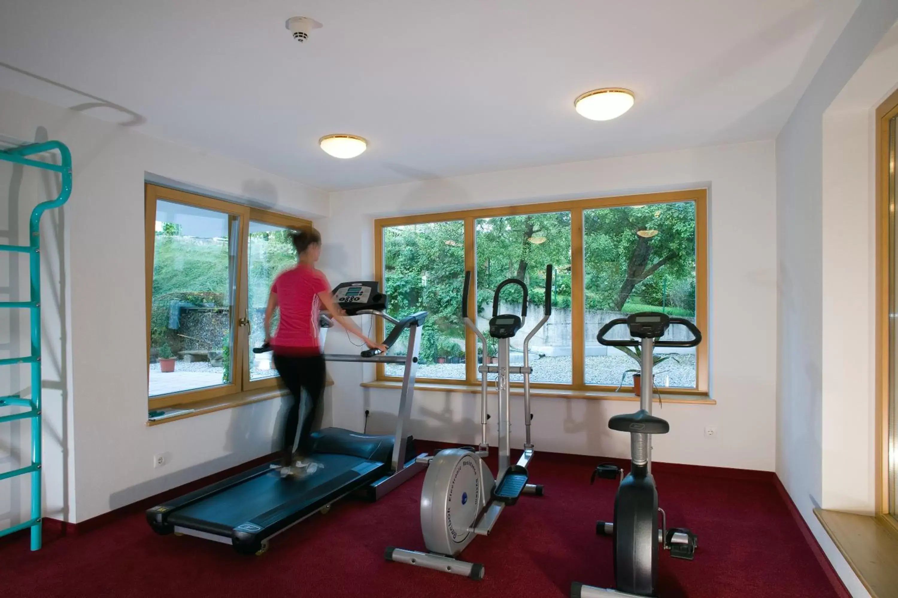 Fitness centre/facilities, View in Hotel Alpenpanorama