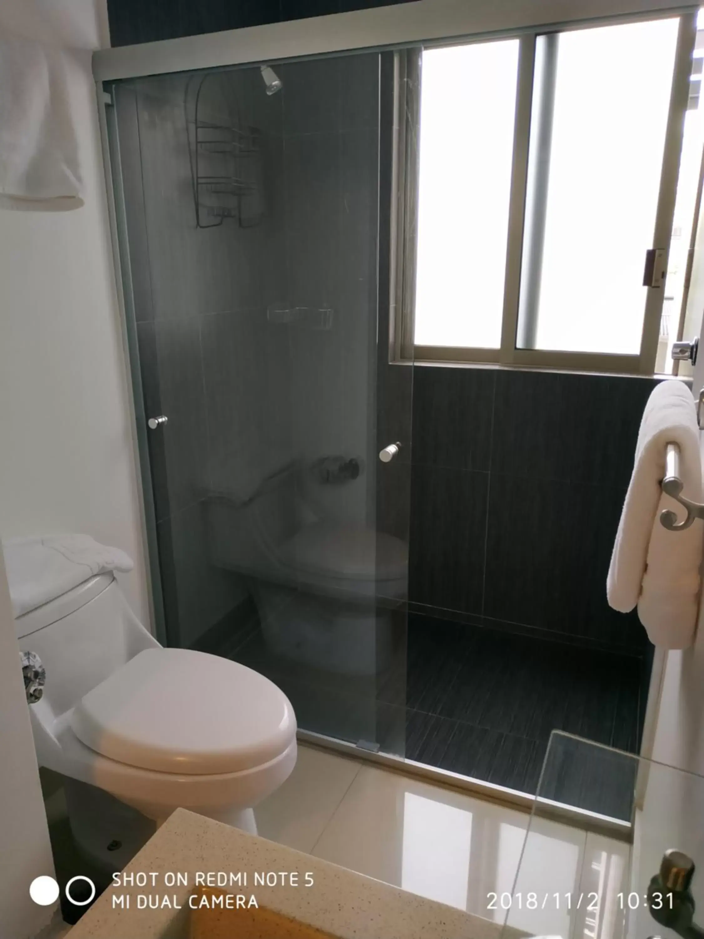 Shower, Bathroom in Alfredo de Musset 354