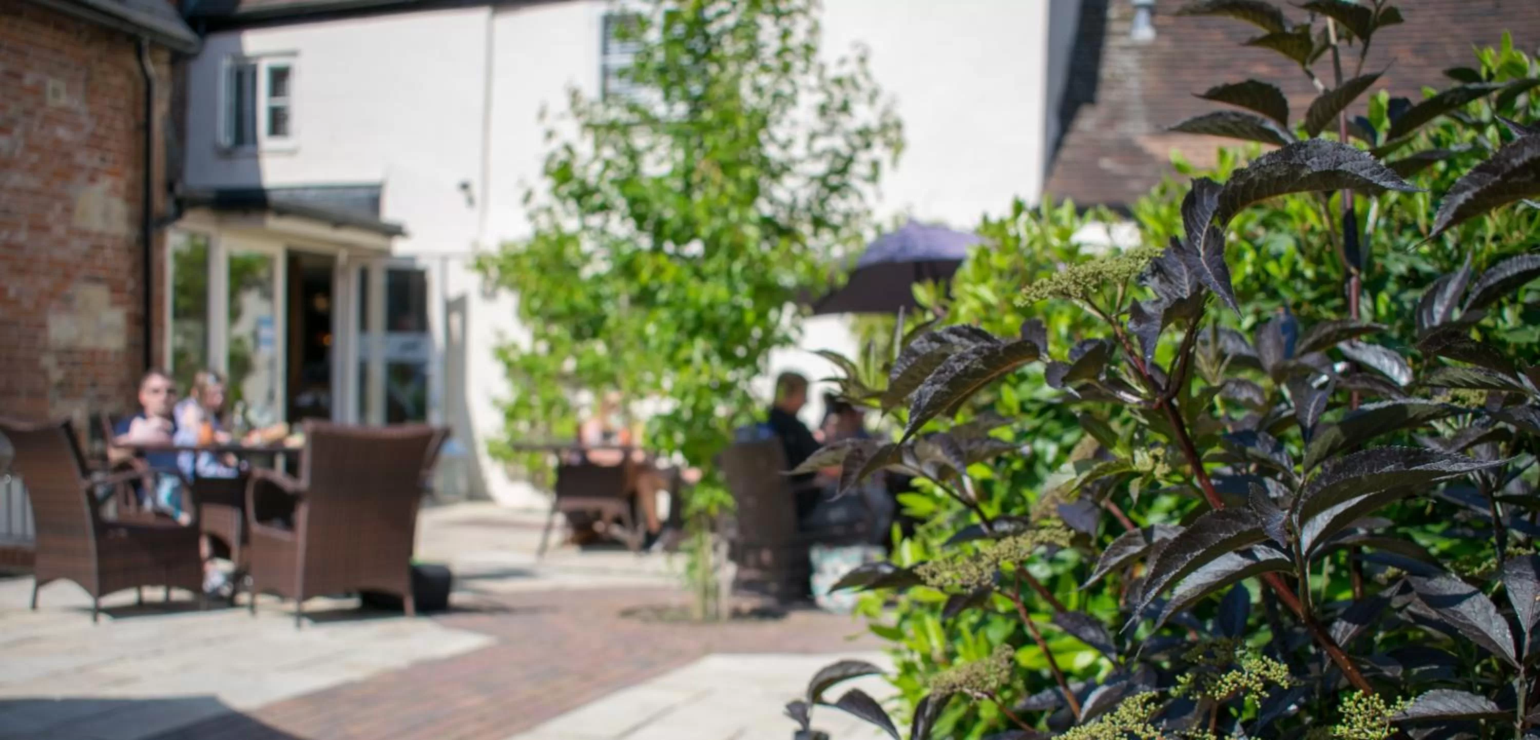 Greyhound Inn Wilton