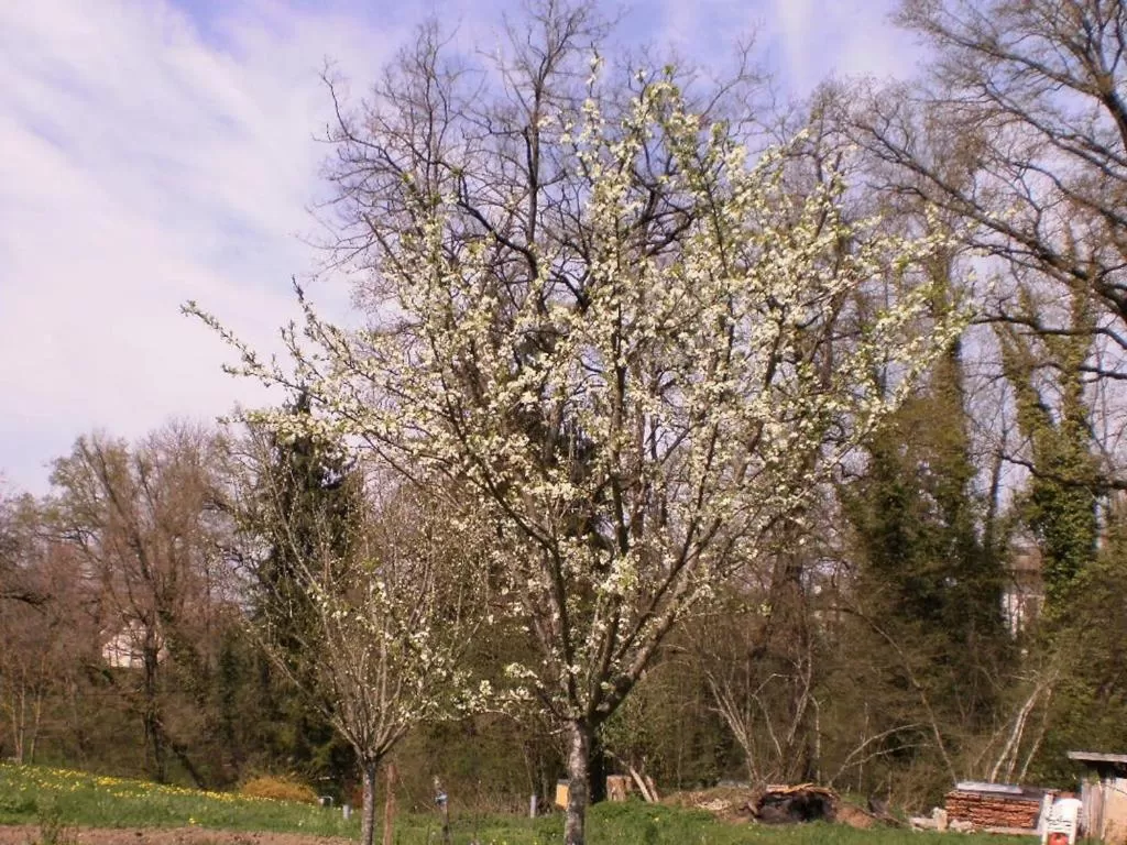 Property building in Chambres d'hôtes-Les Chambres de Mado