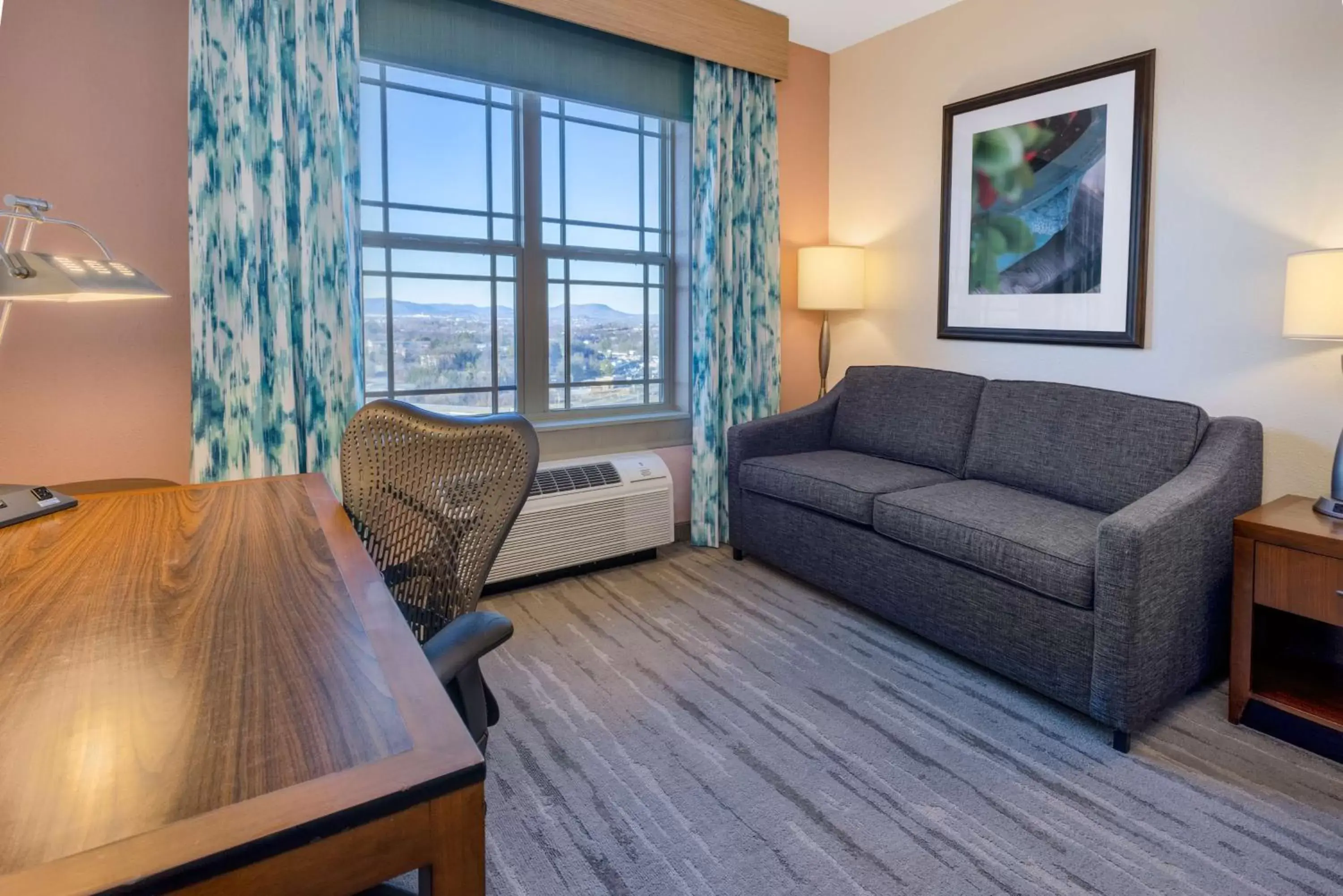 Bedroom, Seating Area in Hilton Garden Inn Roanoke