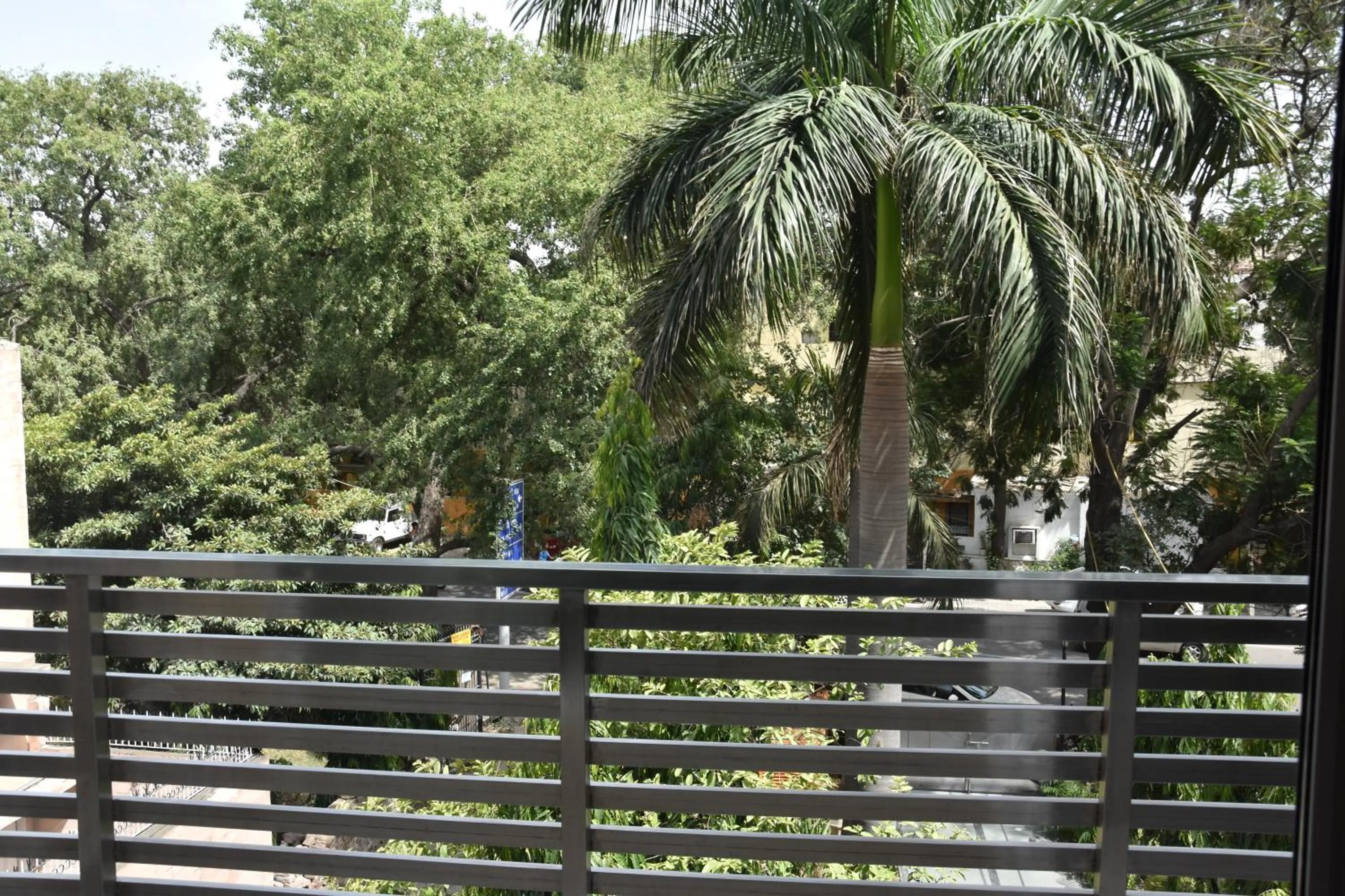 Day in Wood Castle Grand