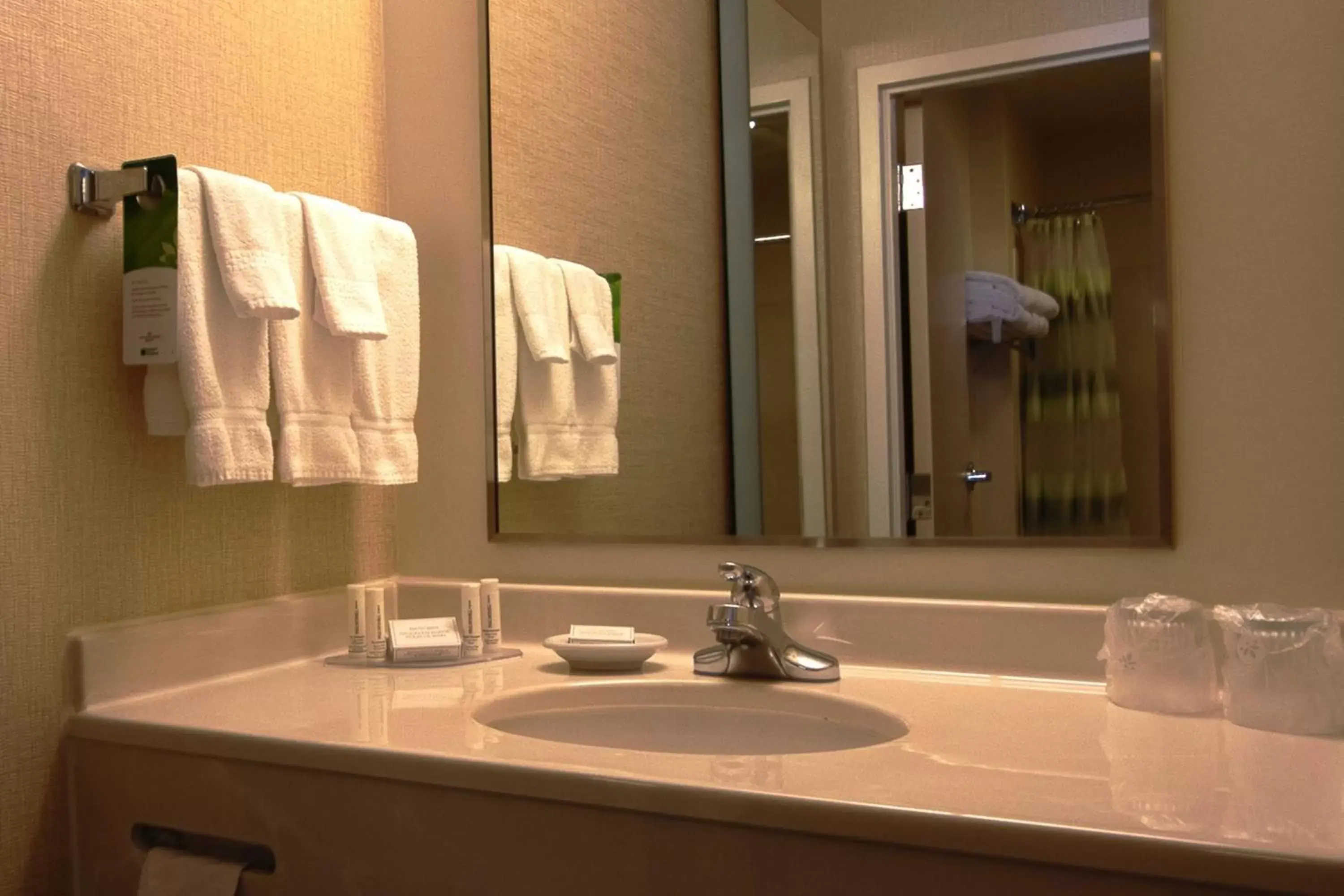Bathroom in SpringHill Suites by Marriott Hershey Near The Park
