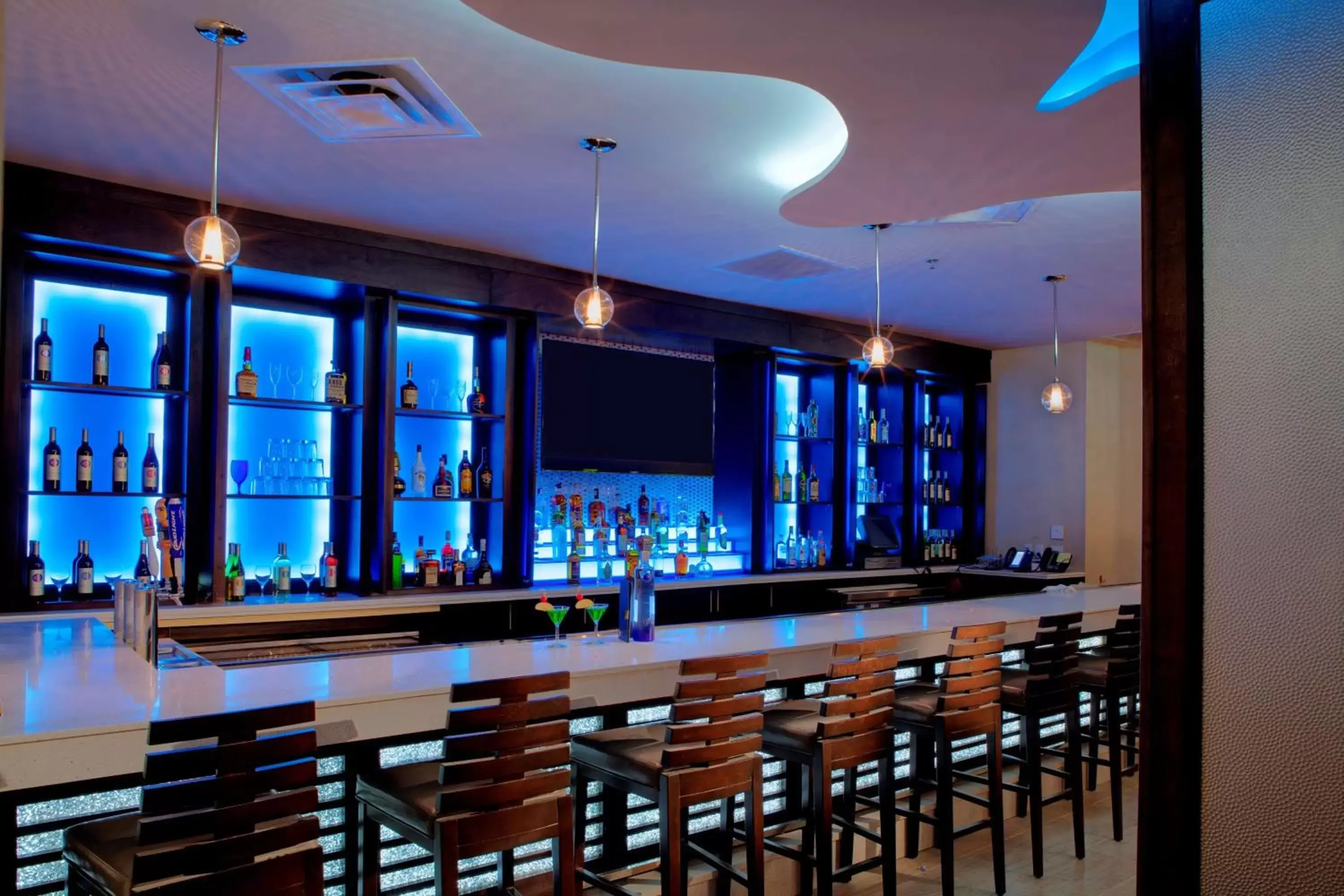 Lounge or bar, Lounge/Bar in DoubleTree by Hilton Hotel Jacksonville Airport