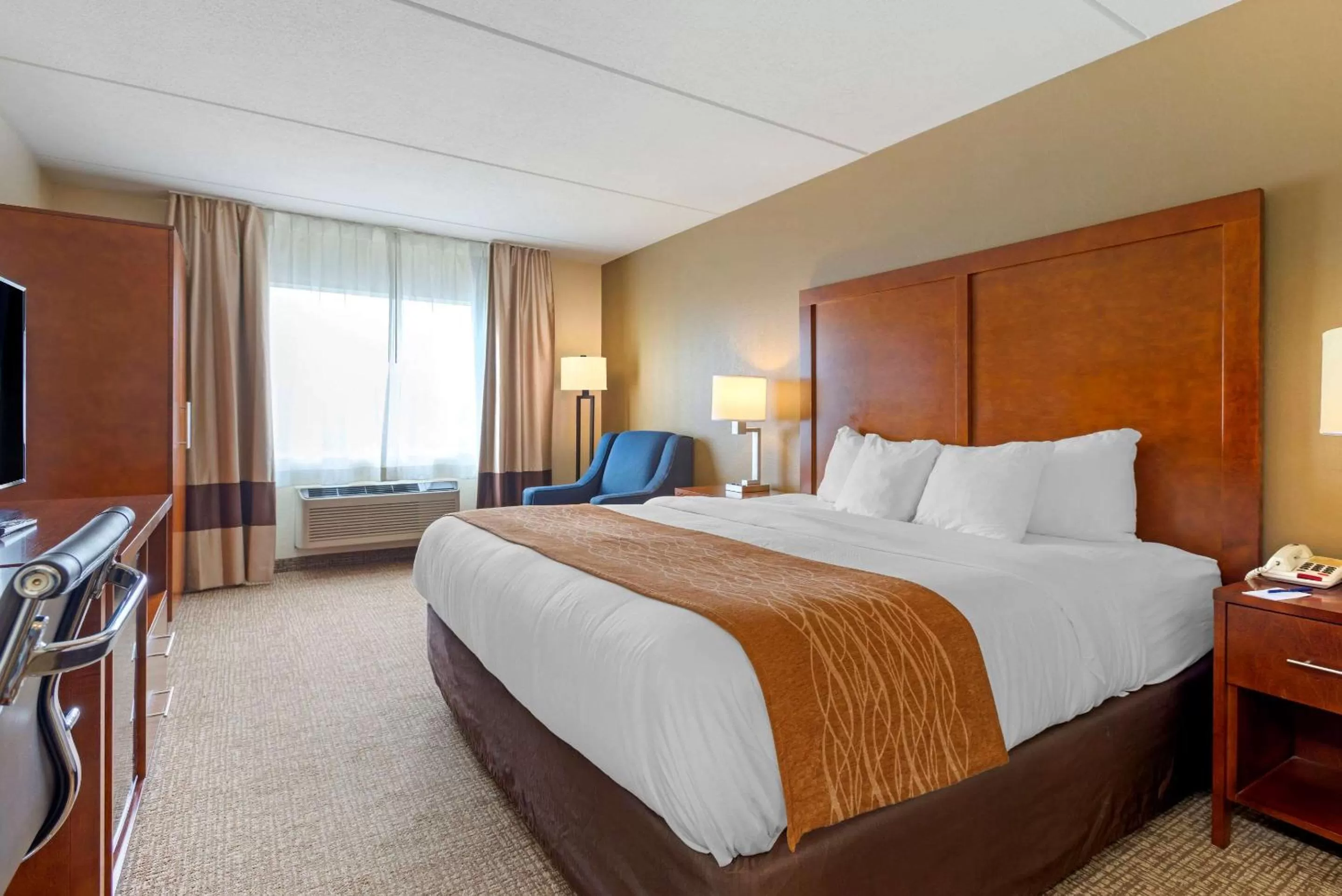 Standard King Room - Non-Smoking  in Comfort Inn & Suites Wilkes Barre - Arena