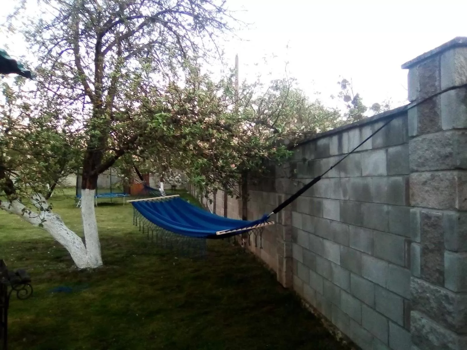 Garden in Fermerska Hata