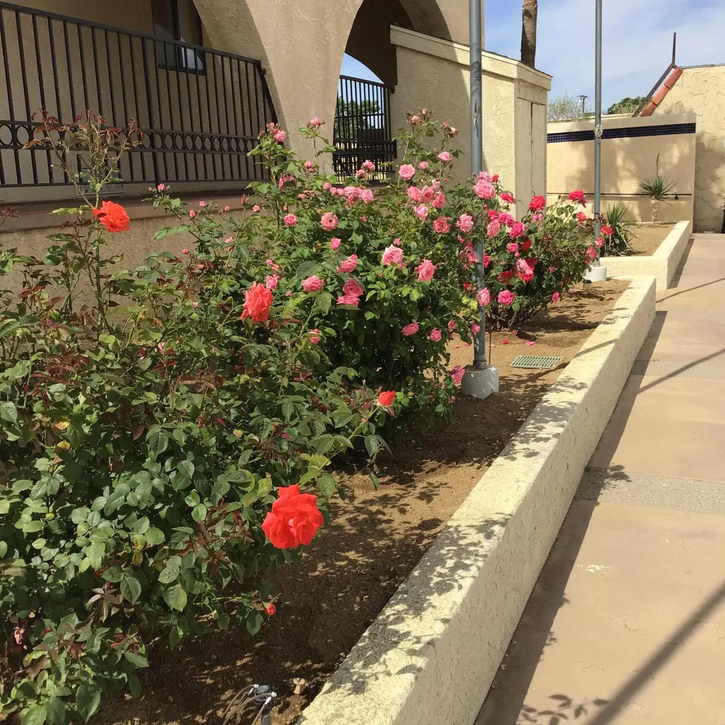 Property building in Americas Best Value Inn and Suites -Yucca Valley Property building in Americas Best Value Inn and Suites -Yucca Valley