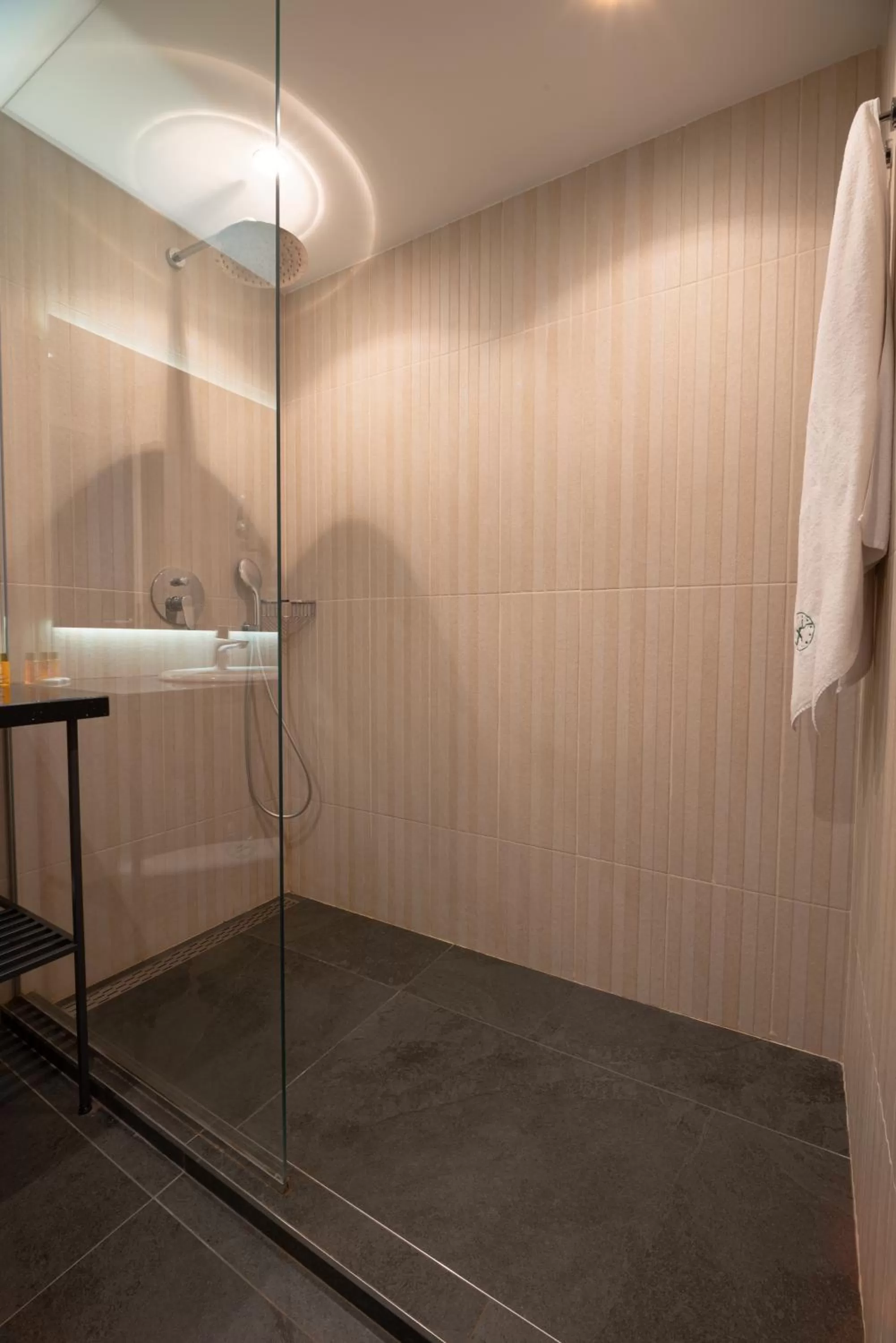 Shower in Vitosha Park Hotel - Free Indoor Pool & Parking