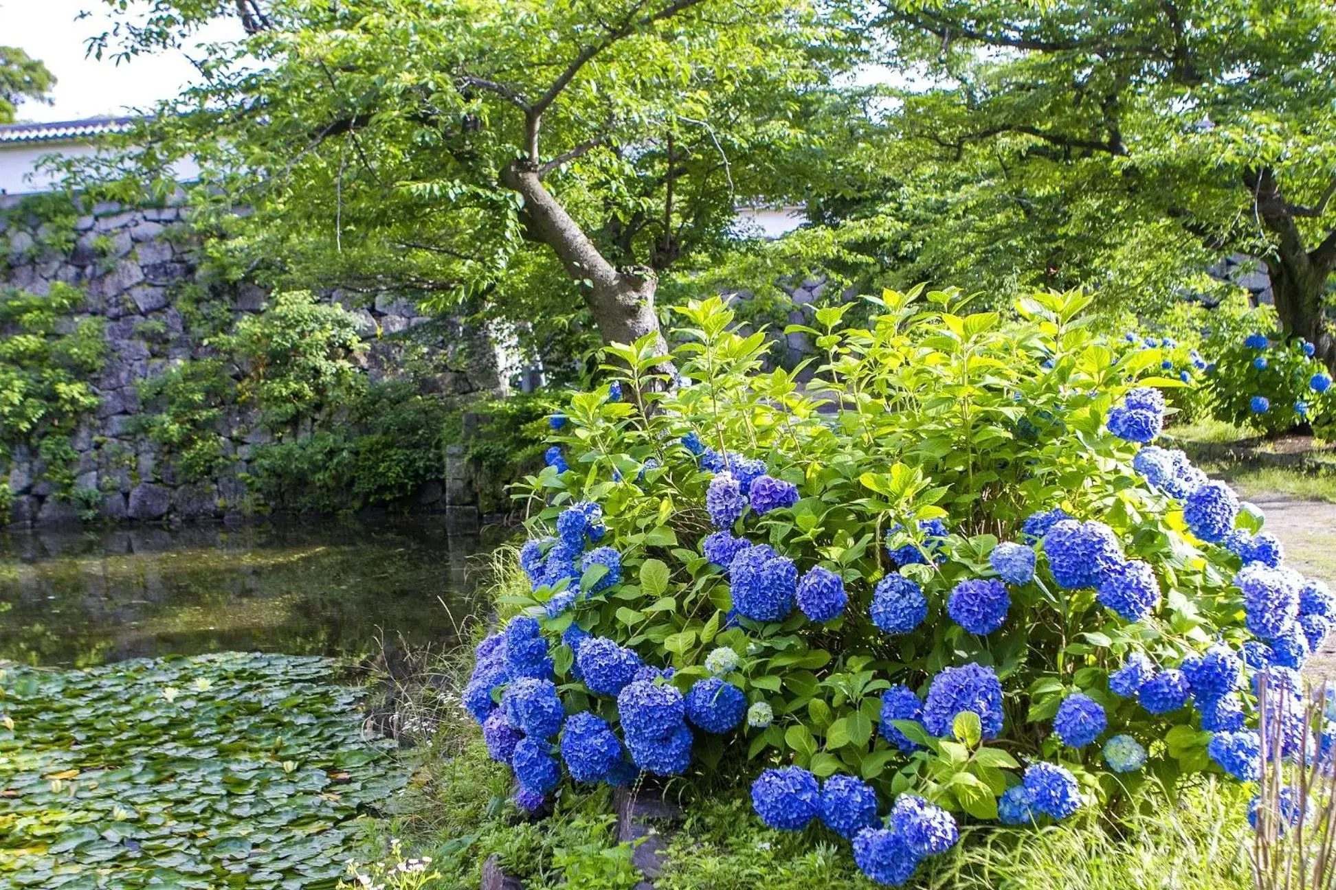 Location, Garden in Hotel Eclair Hakata