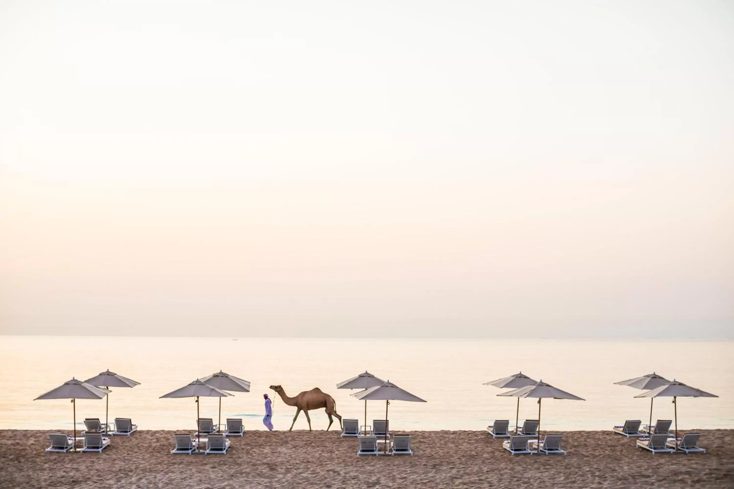 Other, Beach in InterContinental Fujairah Resort, an IHG Hotel