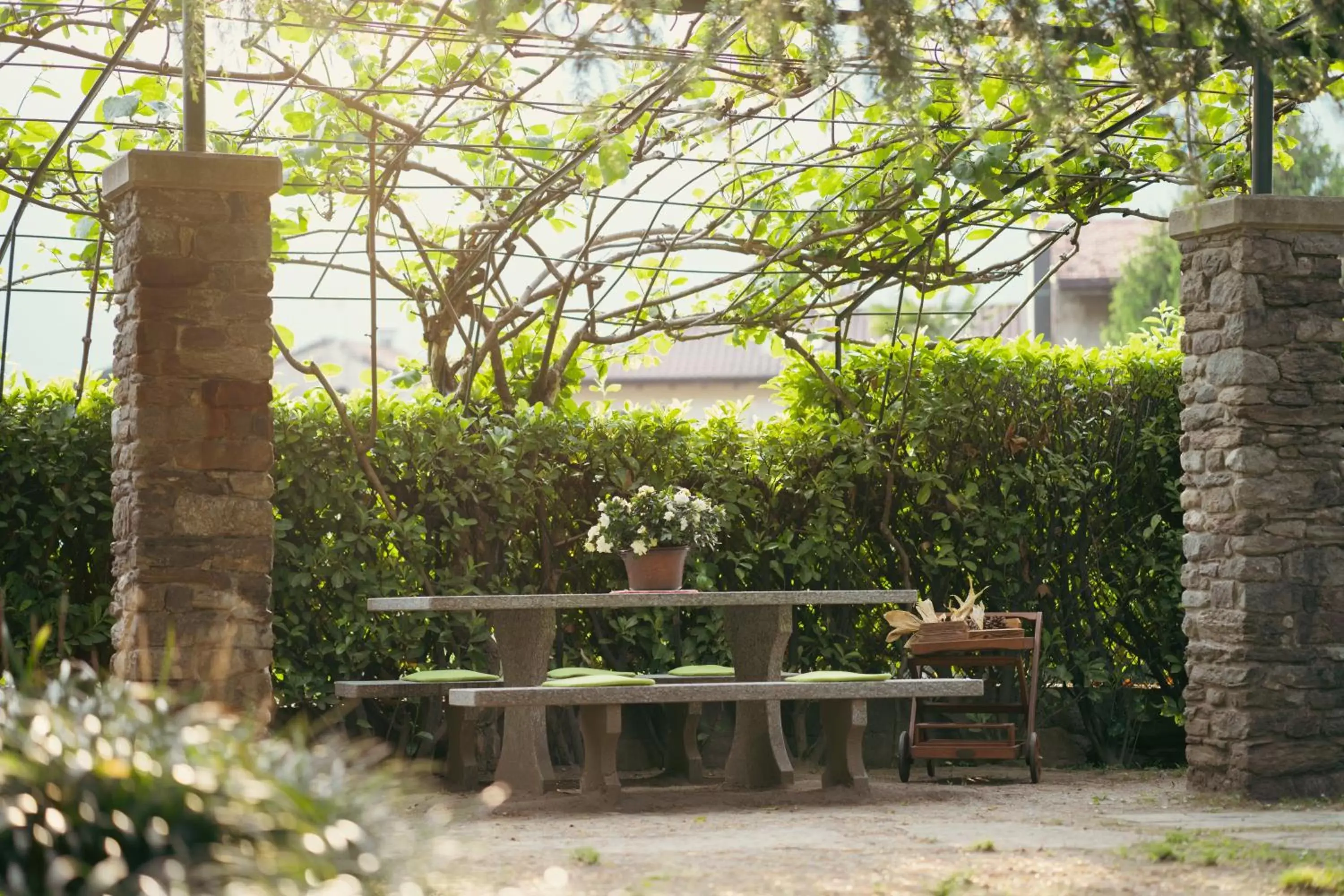 Garden in Residence Antico Torchio