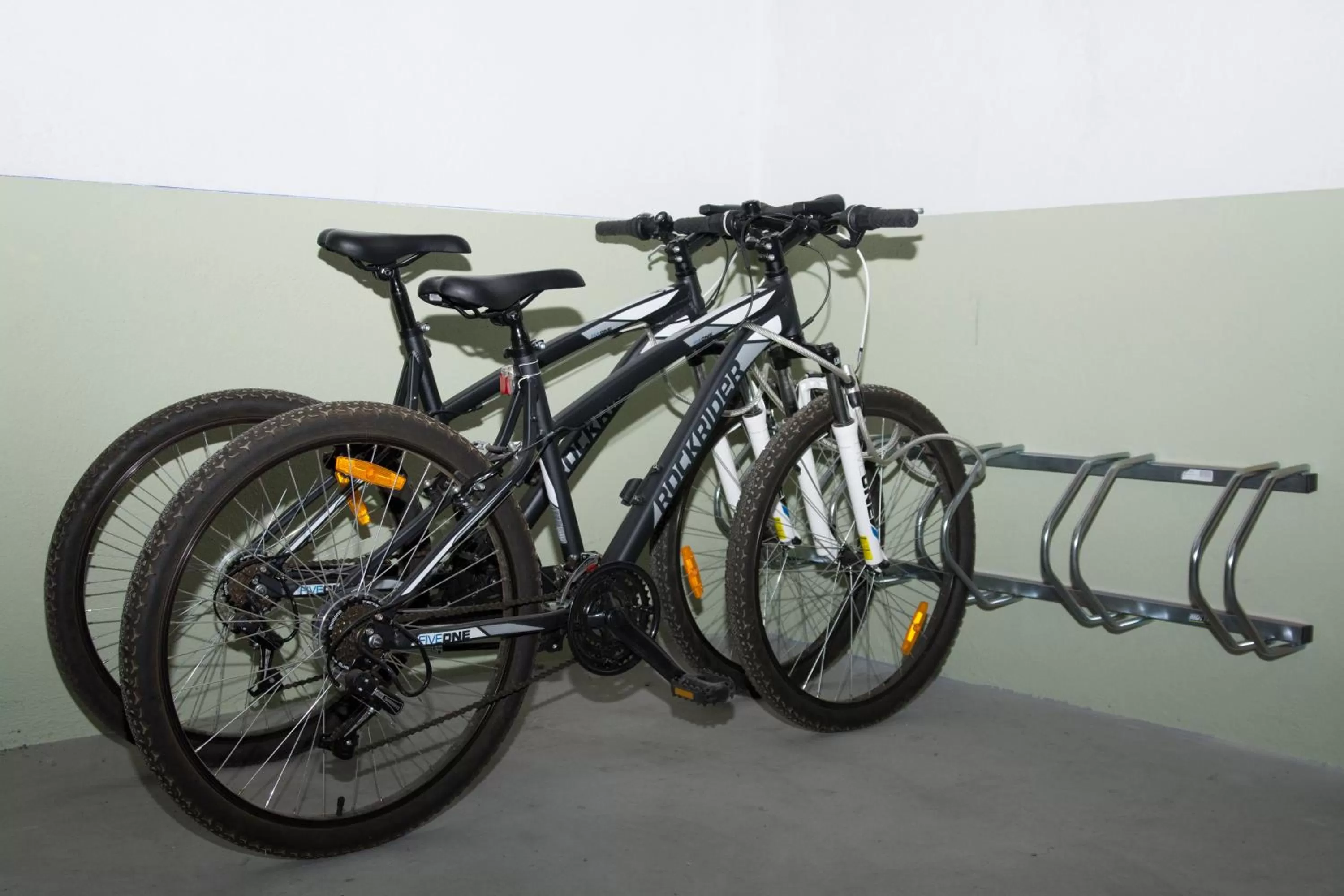 Cycling in Hotel Rainha D. Amélia, Arts & Leisure