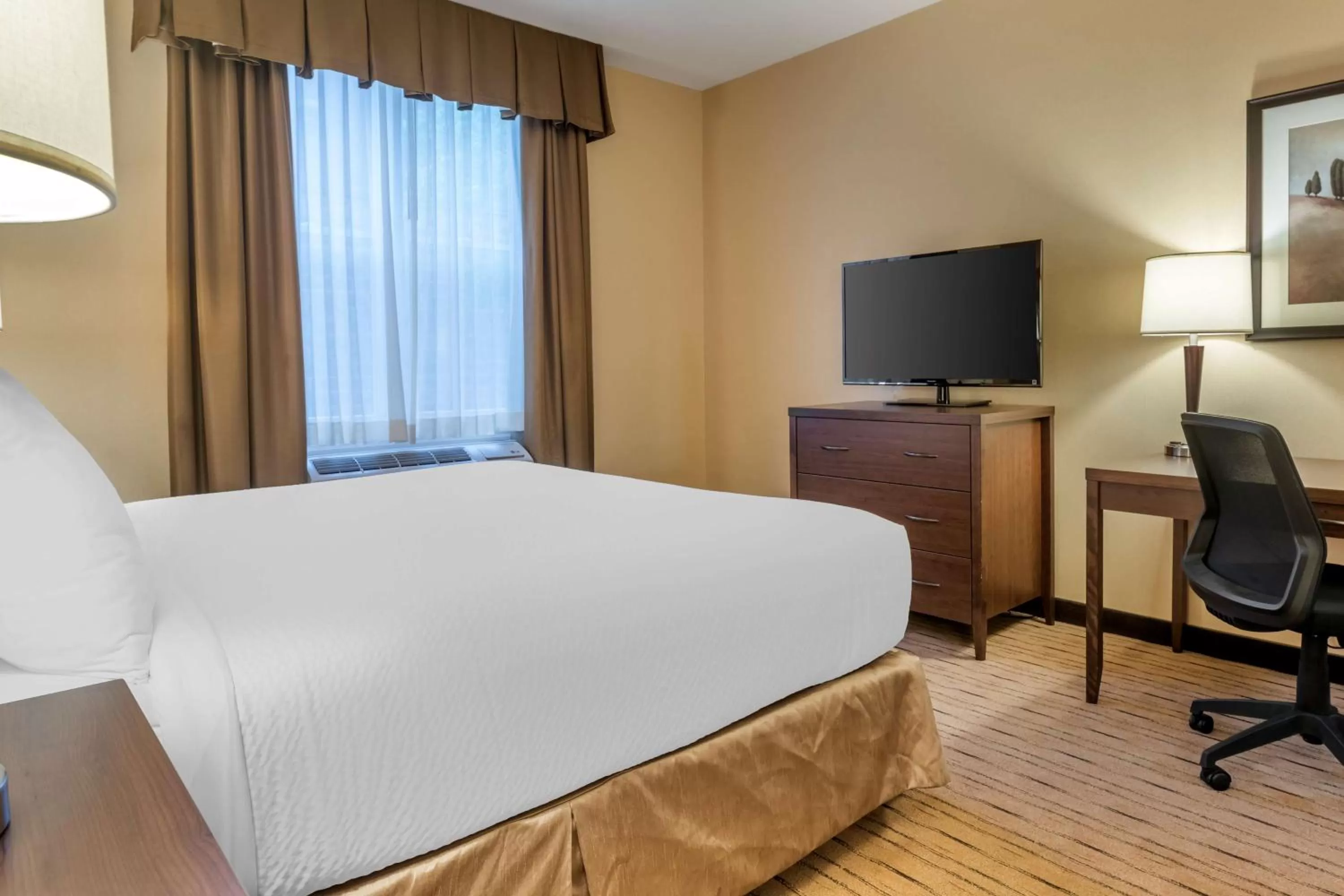 Bedroom, Bed in Best Western Plus, Bathurst Hotel & Suites