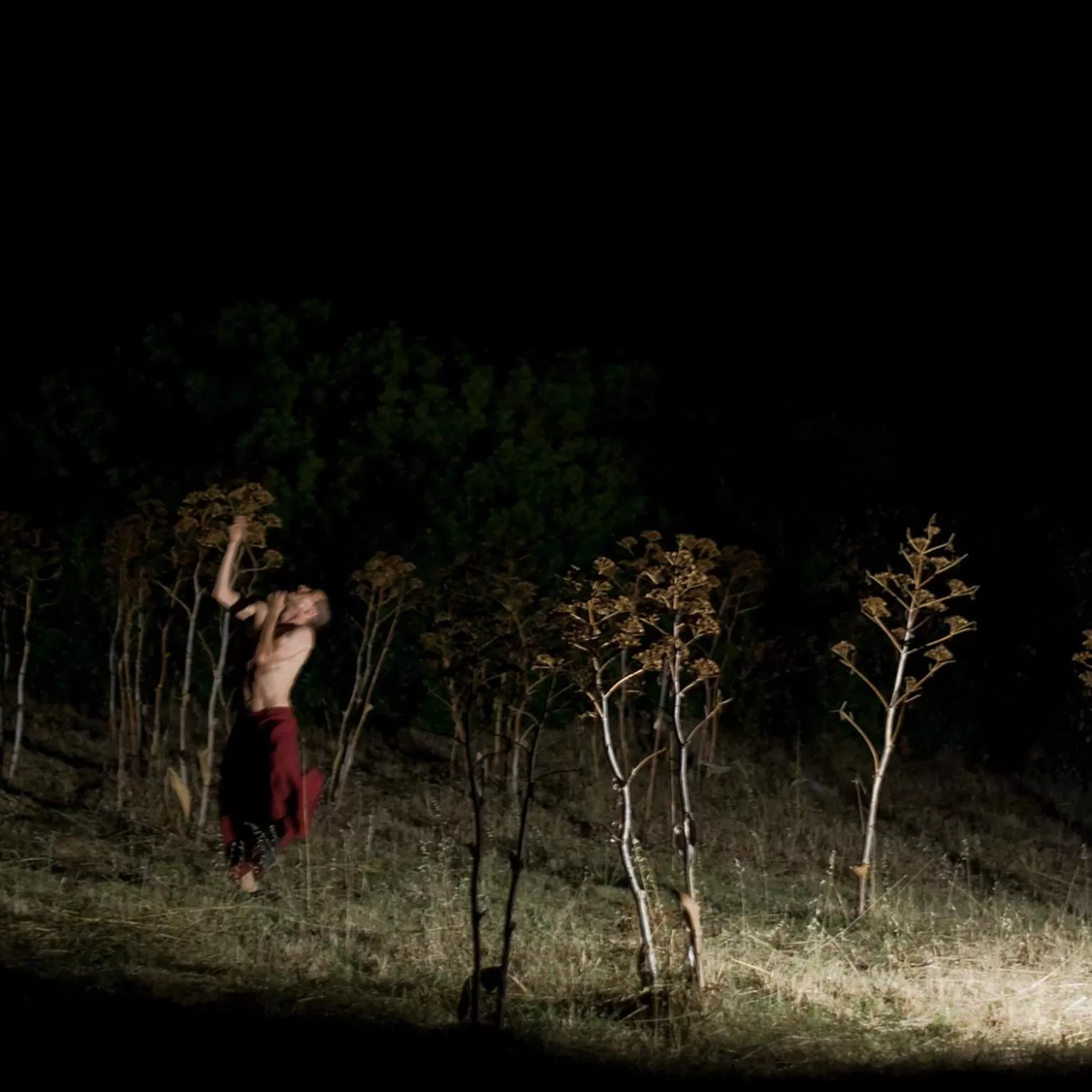 Evening entertainment in Masseria LoJazzo