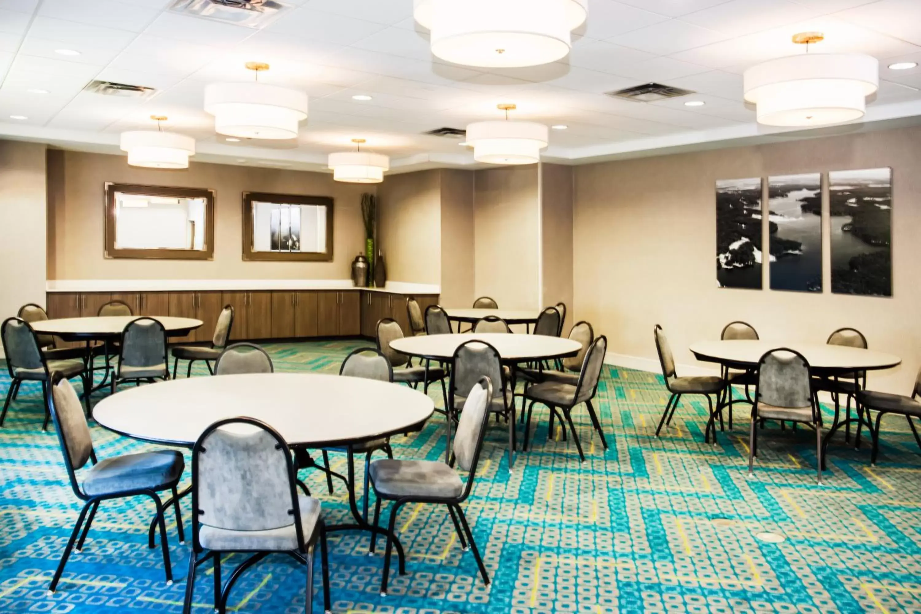 Meeting/conference room, Restaurant/Places to Eat in Holiday Inn Express & Suites Litchfield, an IHG Hotel