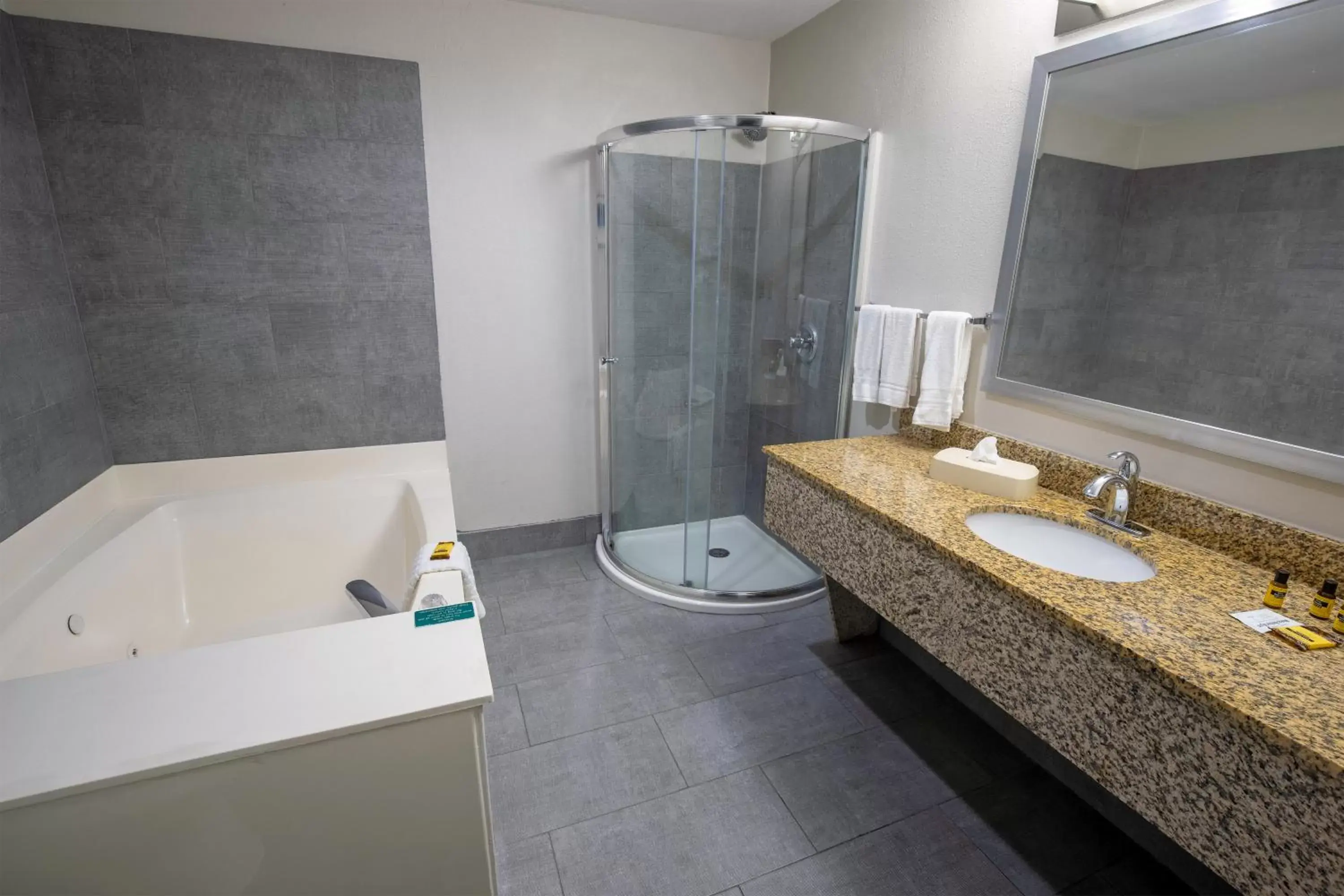 Bathroom in Best Western Plus Lafayette Vermilion River Inn & Suites