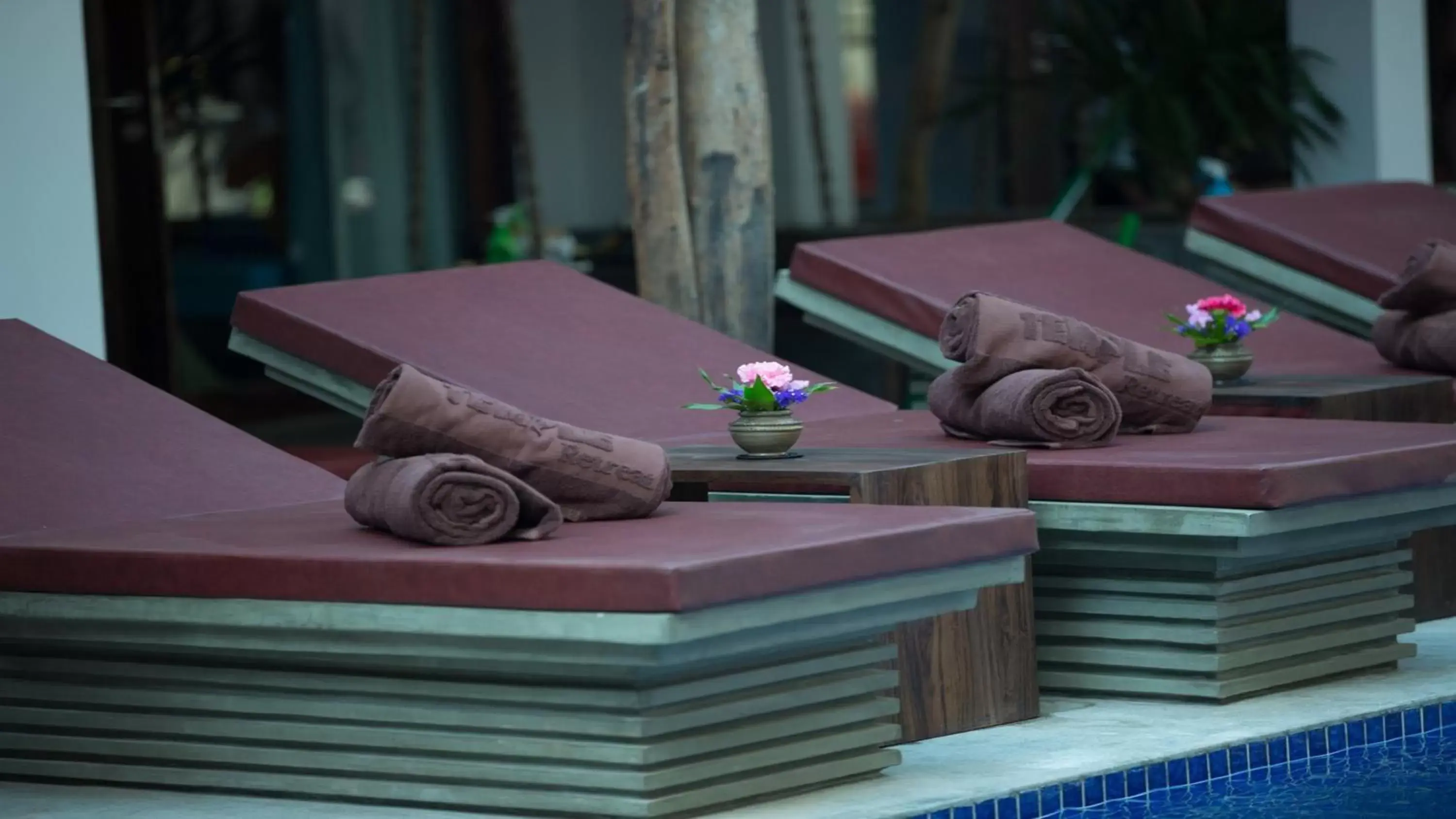 Pool view in Golden Temple Retreat Pool view in Golden Temple Retreat