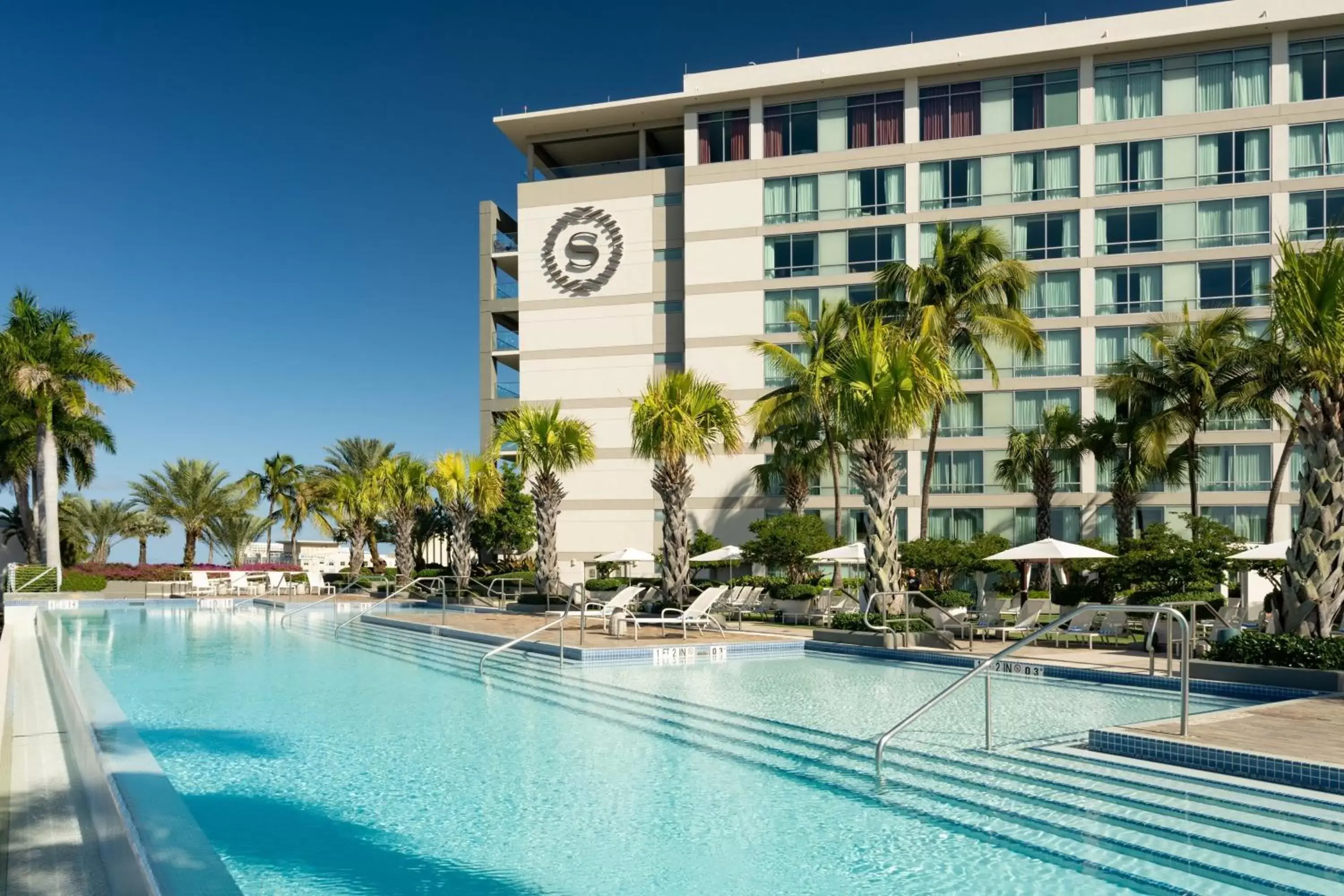 Swimming pool, Property Building in Sheraton Puerto Rico Resort & Casino