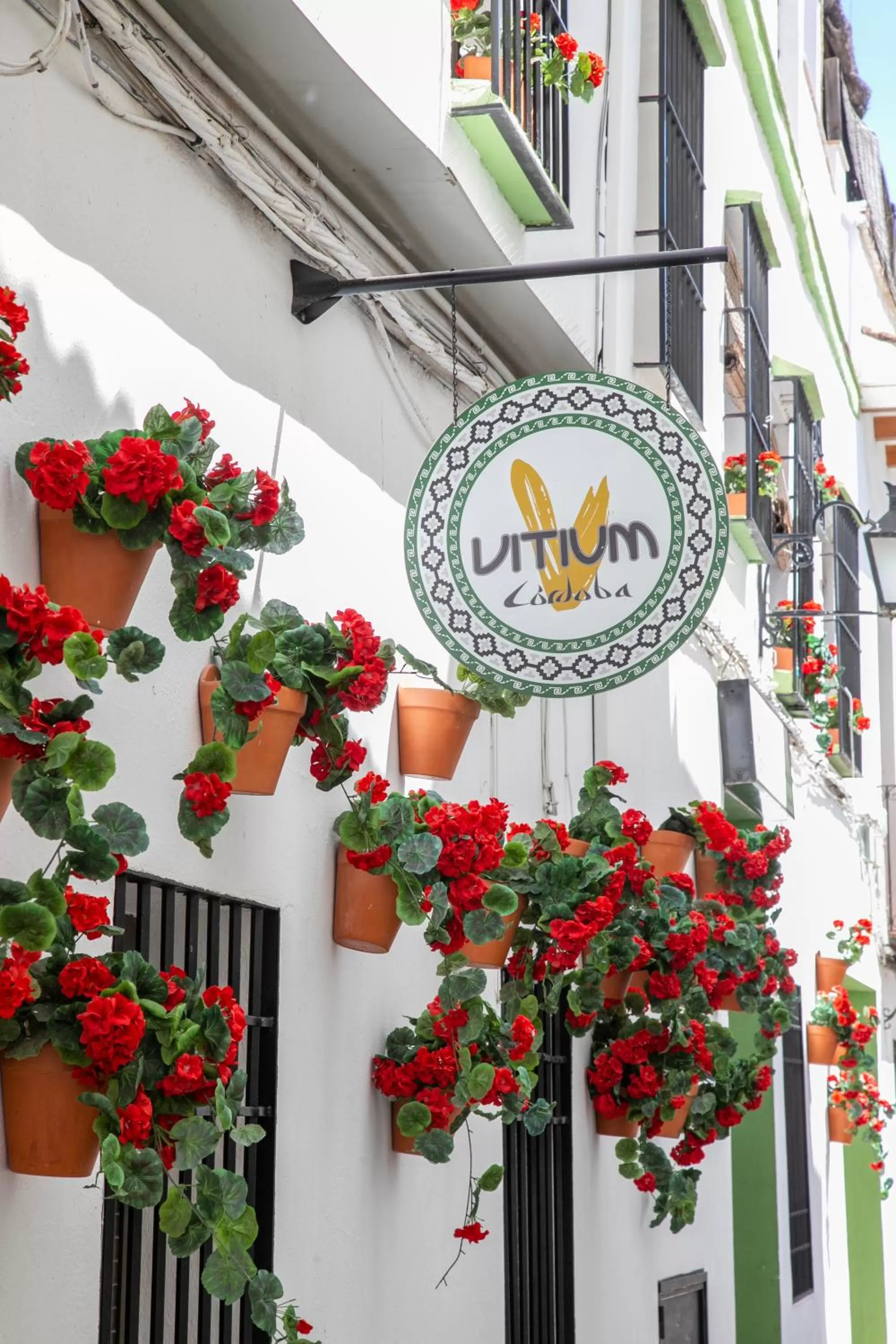 Property building in Vitium Córdoba