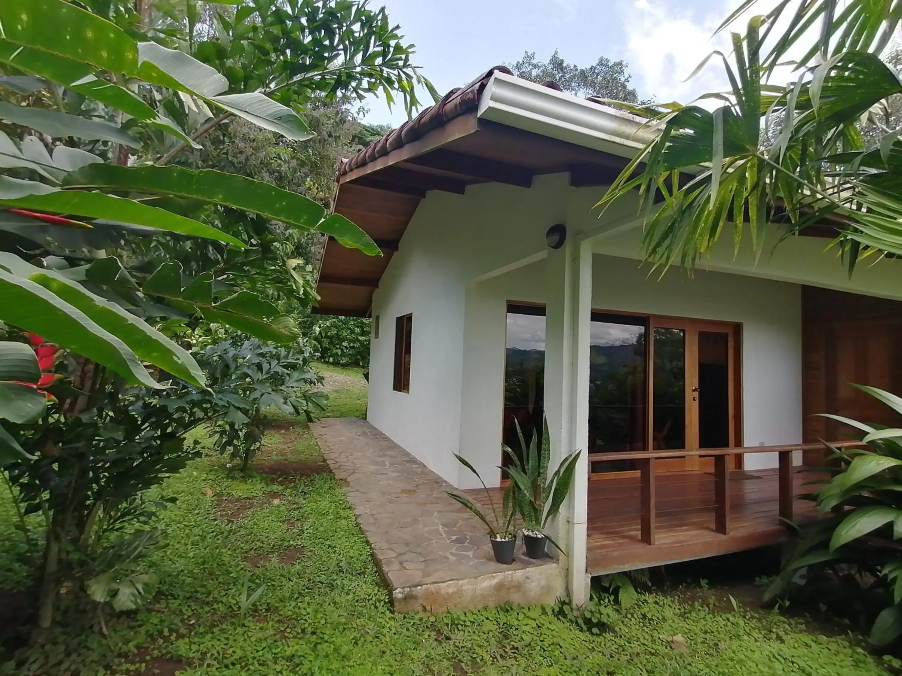 Property Building in La Ceiba Tree Lodge