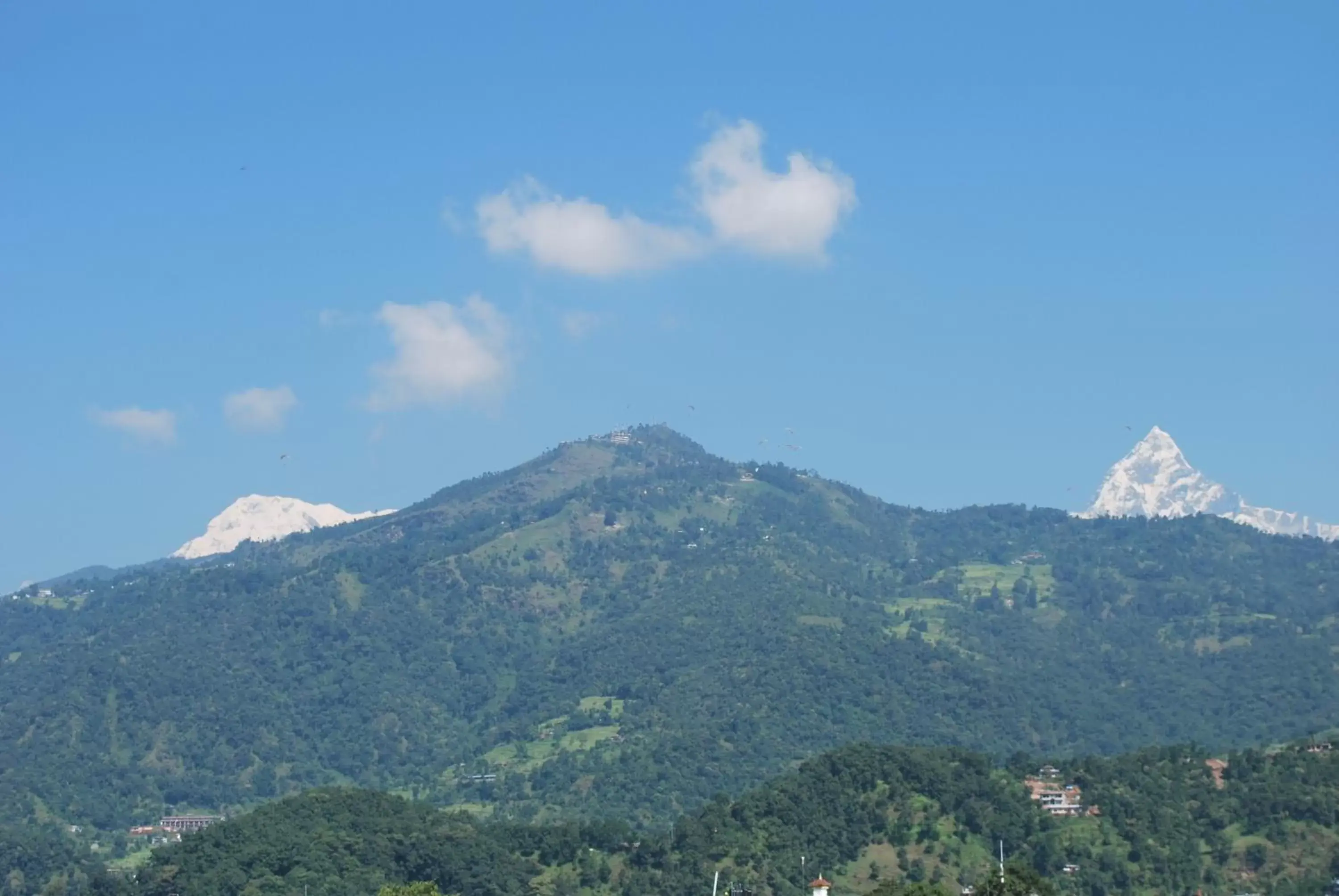 View (from property/room), Mountain View in Butterfly Lodge