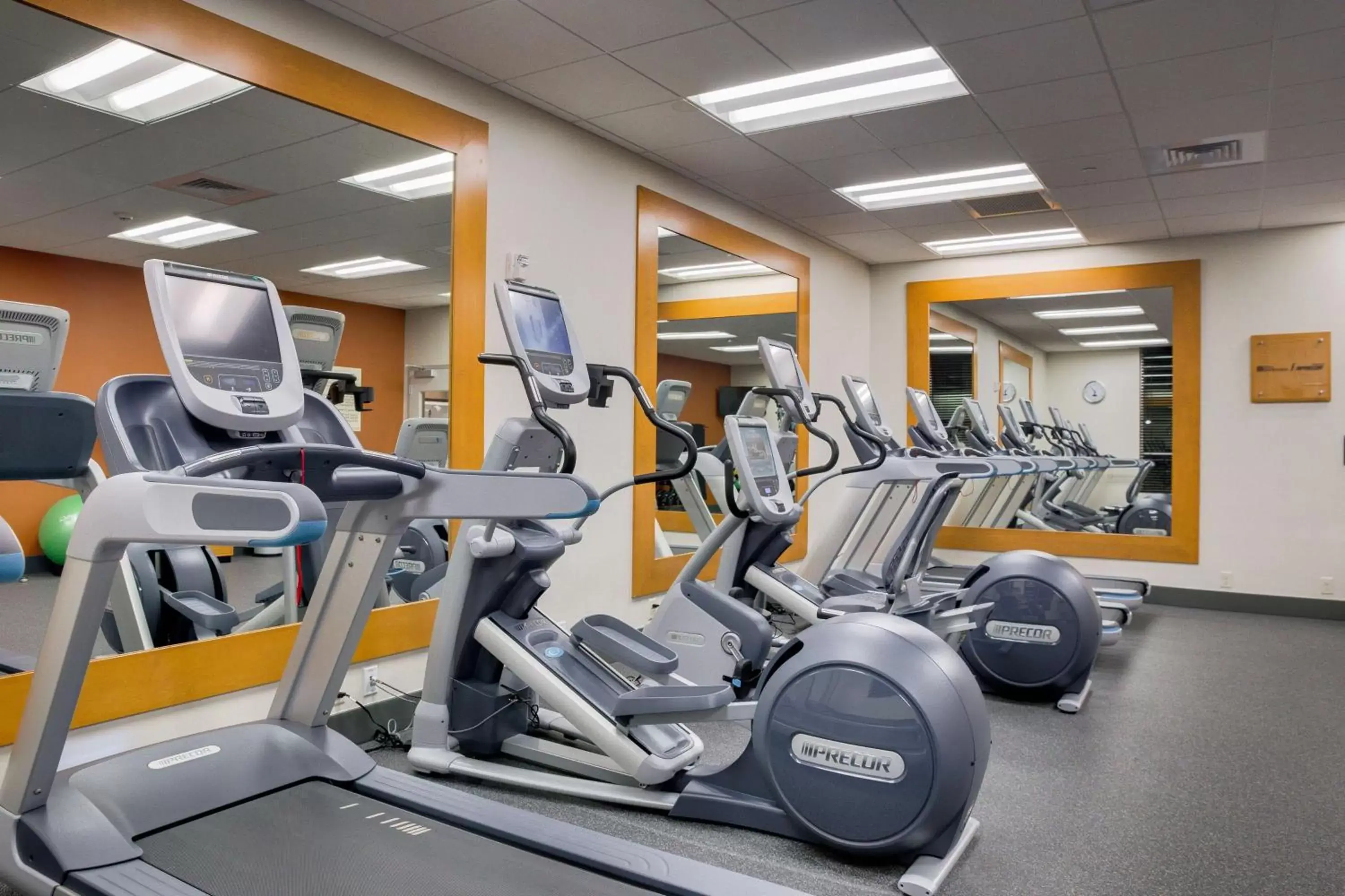 Fitness centre/facilities, Fitness Center/Facilities in Hilton Garden Inn North Houston Spring