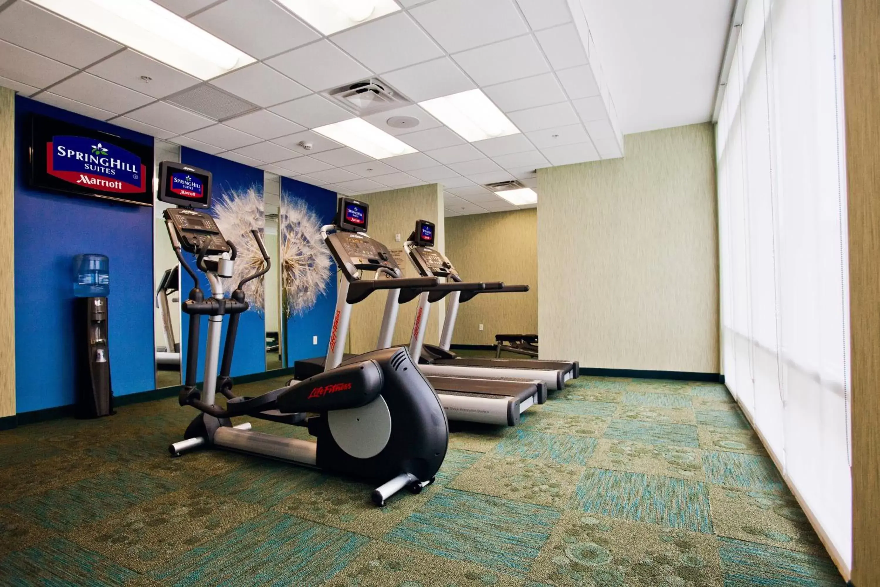 Fitness centre/facilities, Fitness Center/Facilities in SpringHill Suites by Marriott Mobile West